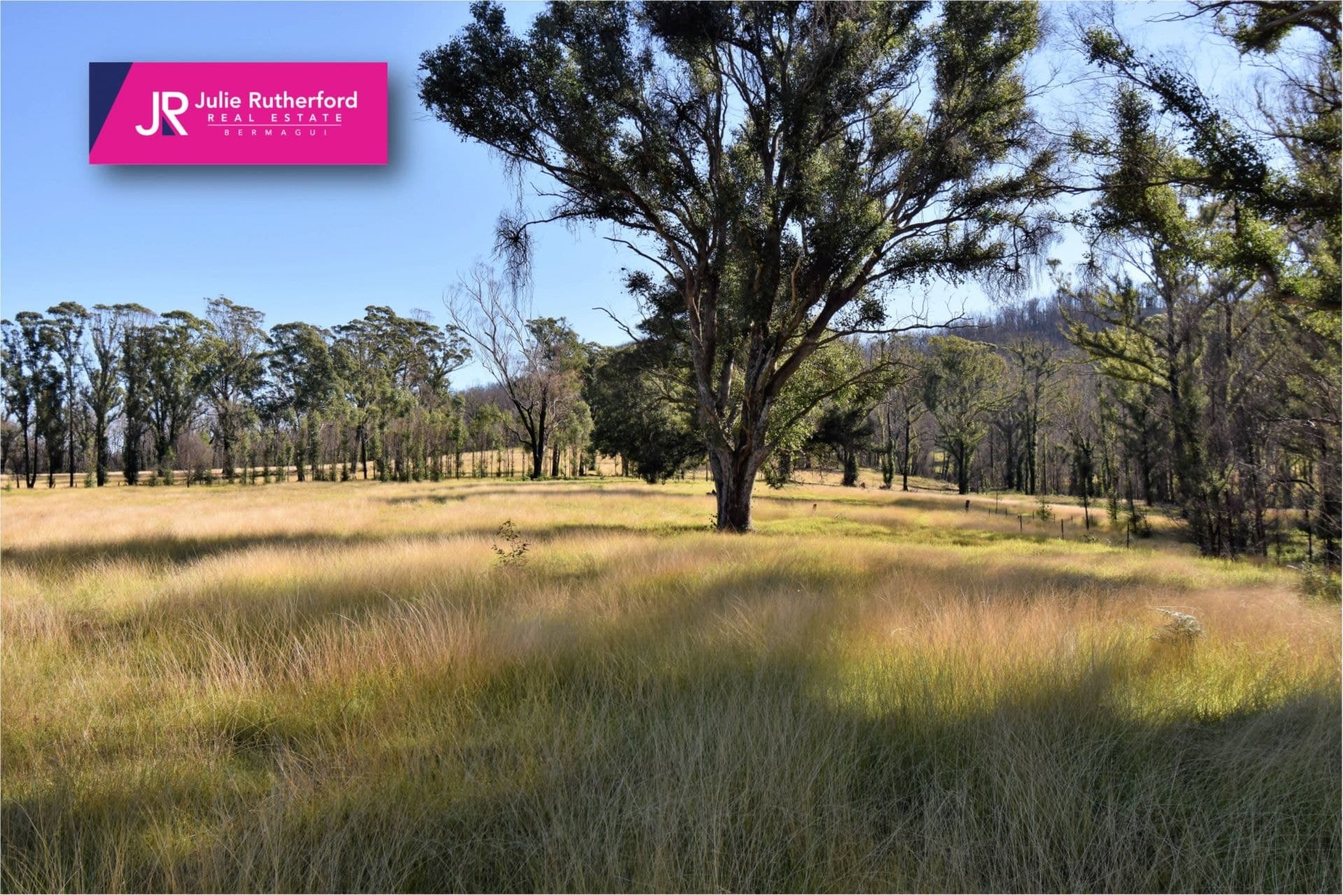 10440 Princes Highway Cobargo NSW, Cobargo - Thumbnail 4