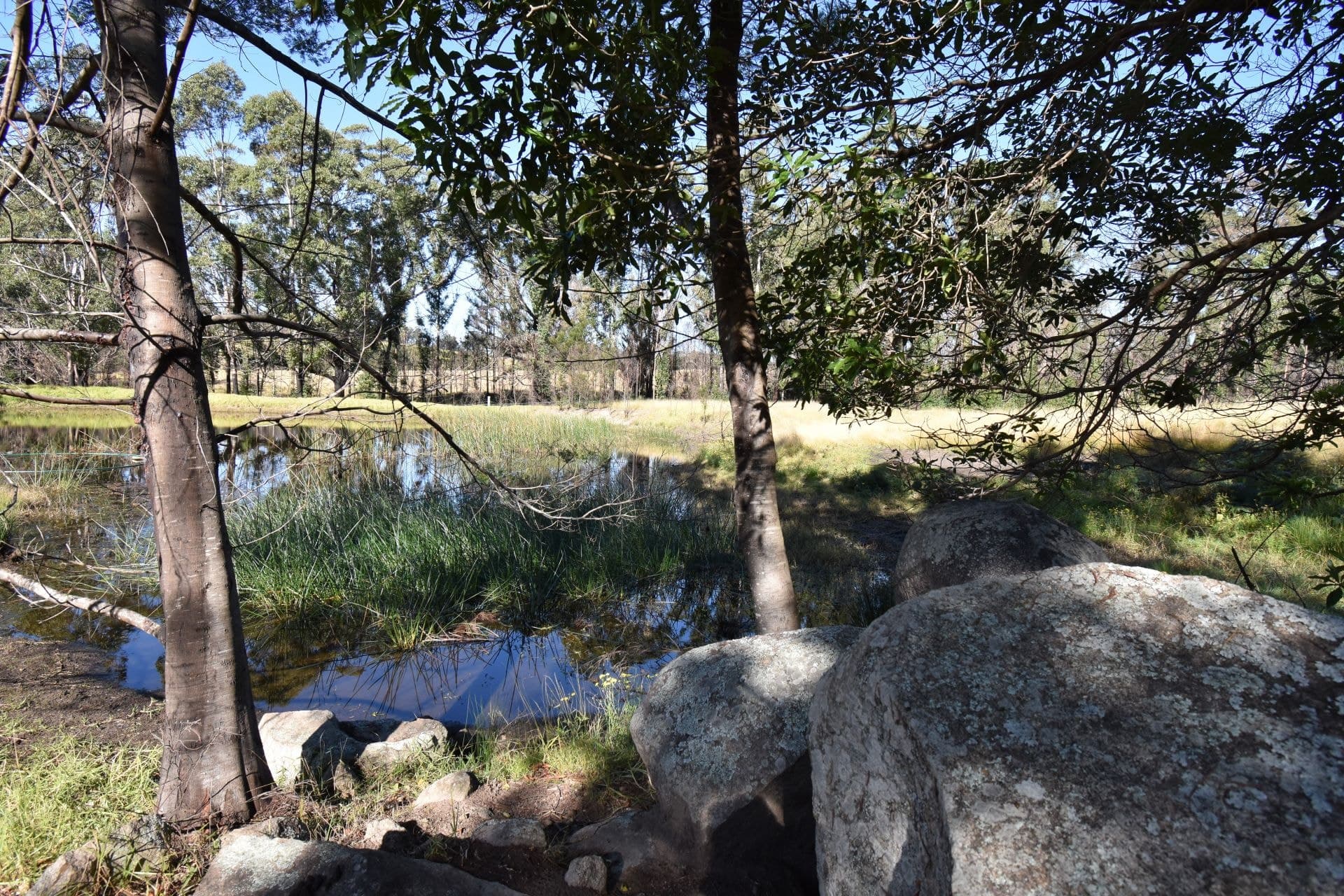 10440 Princes Highway Cobargo NSW, Cobargo - Thumbnail 5