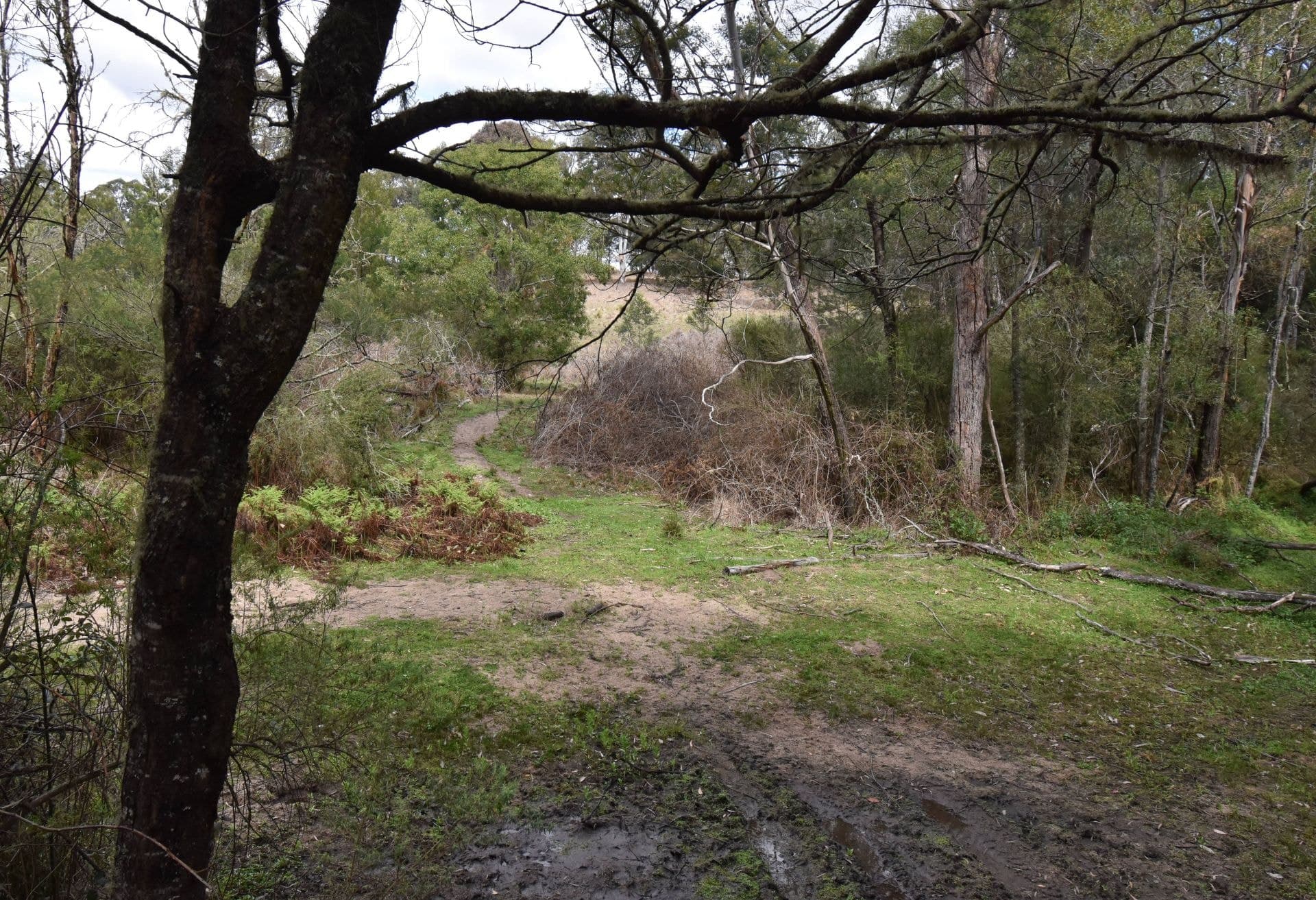 49 Quinlans Road Verona NSW, Verona - Image 1