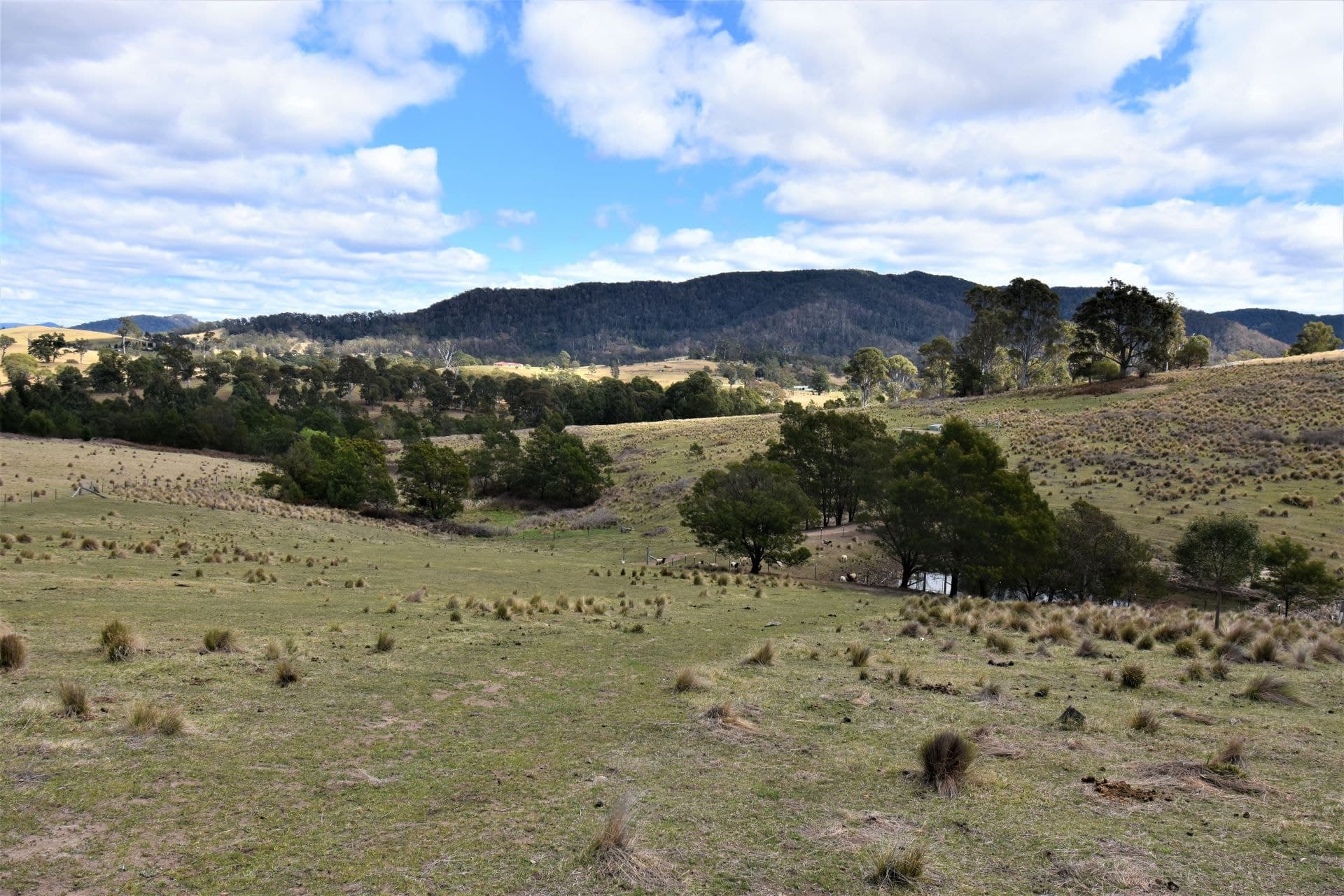 49 Quinlans Road Verona NSW, Verona - Thumbnail 4