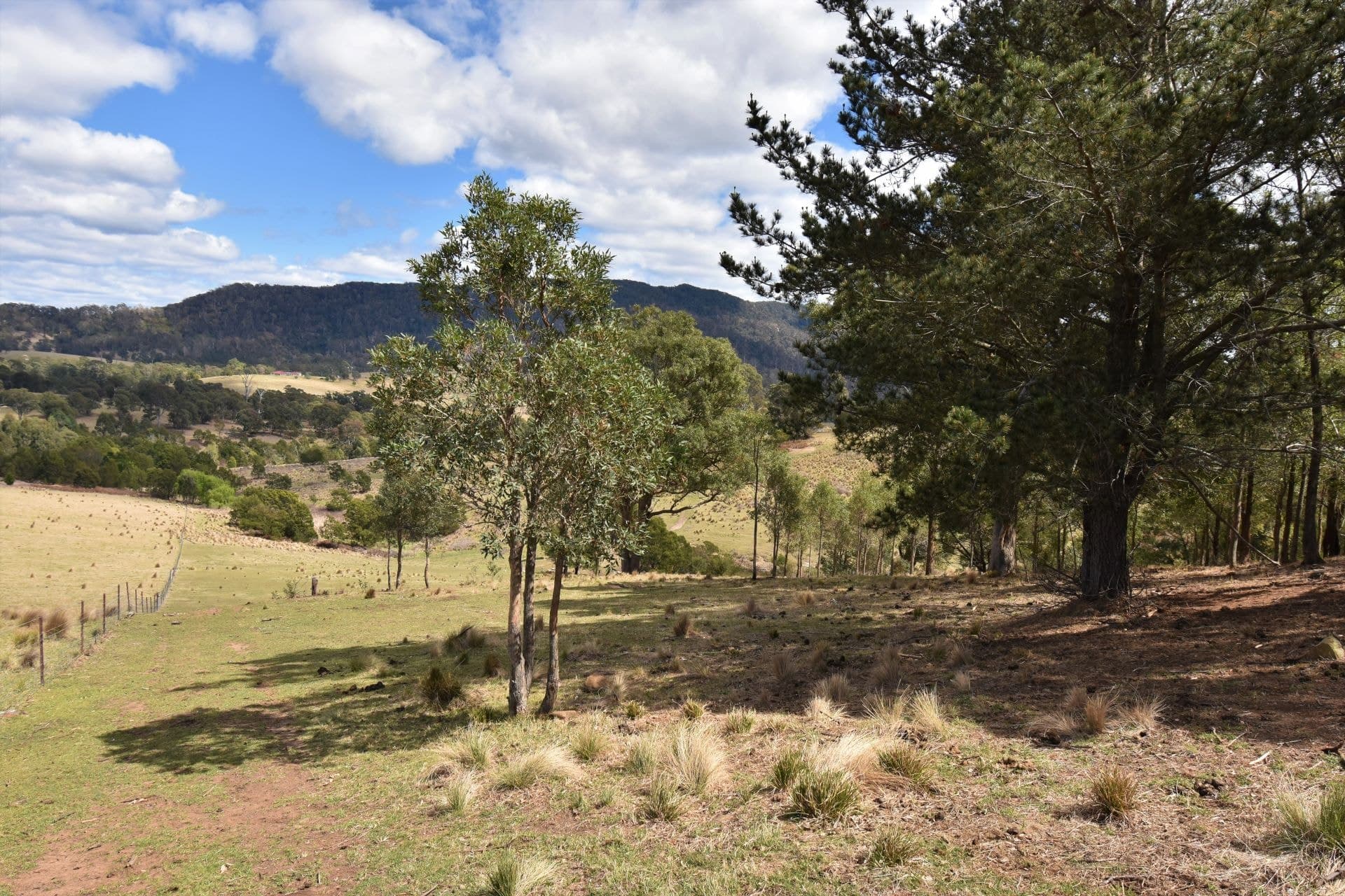 49 Quinlans Road Verona NSW, Verona - Thumbnail 5