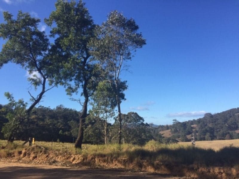 Lot 1 Warrigal Range Road BROGO NSW, Brogo - Thumbnail 4