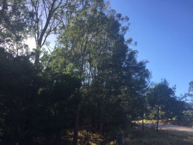 Lot 1 Warrigal Range Road BROGO NSW, Brogo - Thumbnail 5
