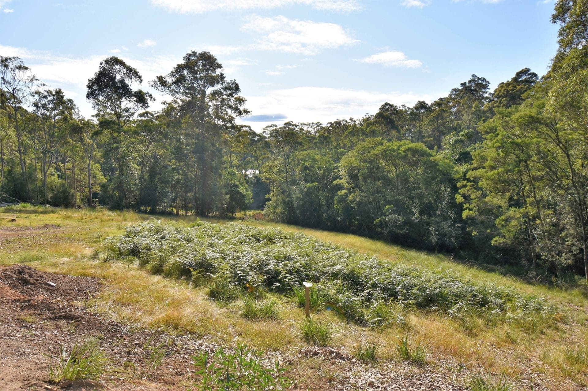 3 Black Marlin Drive Bermagui NSW, Bermagui - Image 1