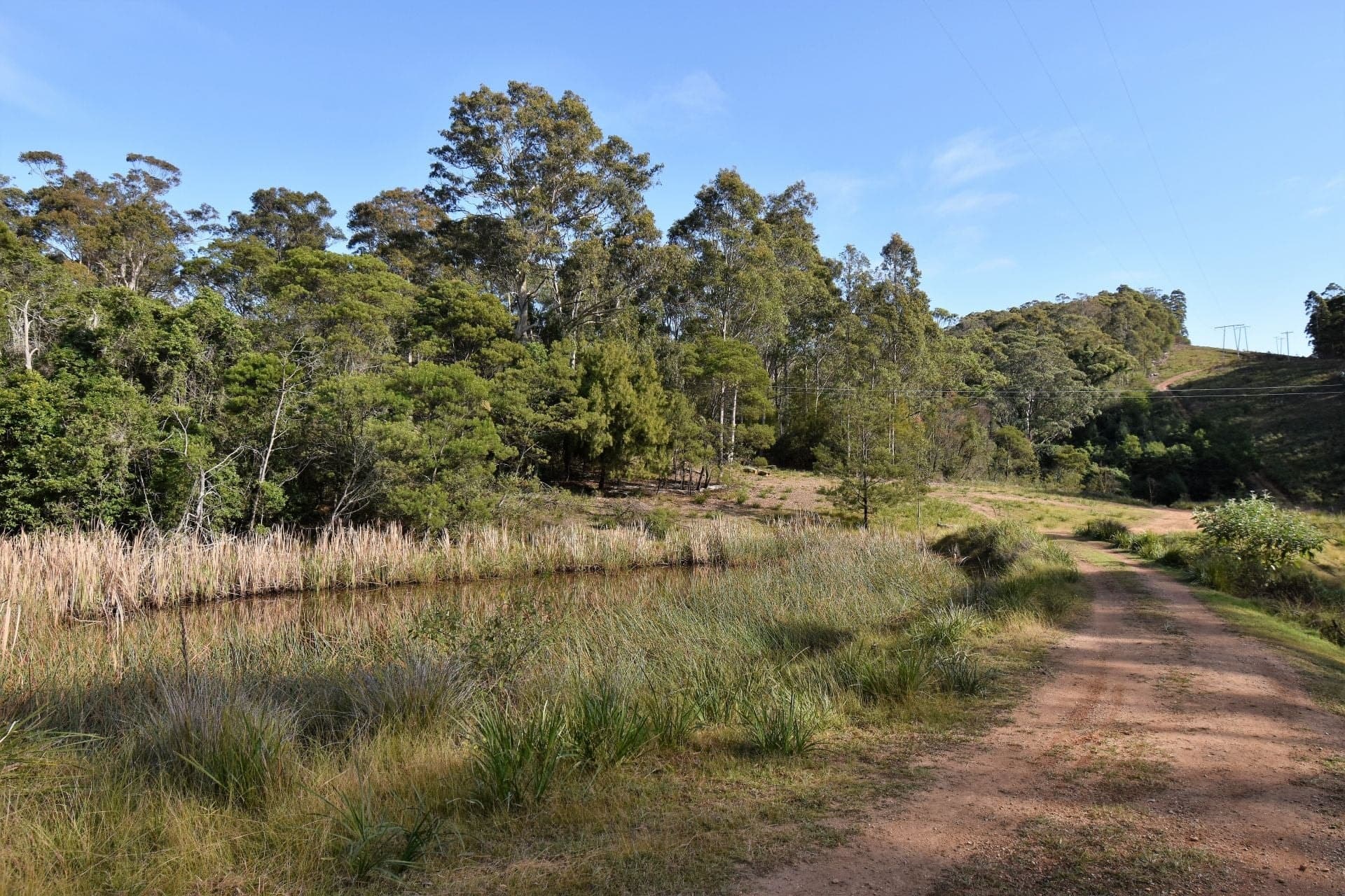 3 Black Marlin Drive Bermagui NSW, Bermagui - Thumbnail 4
