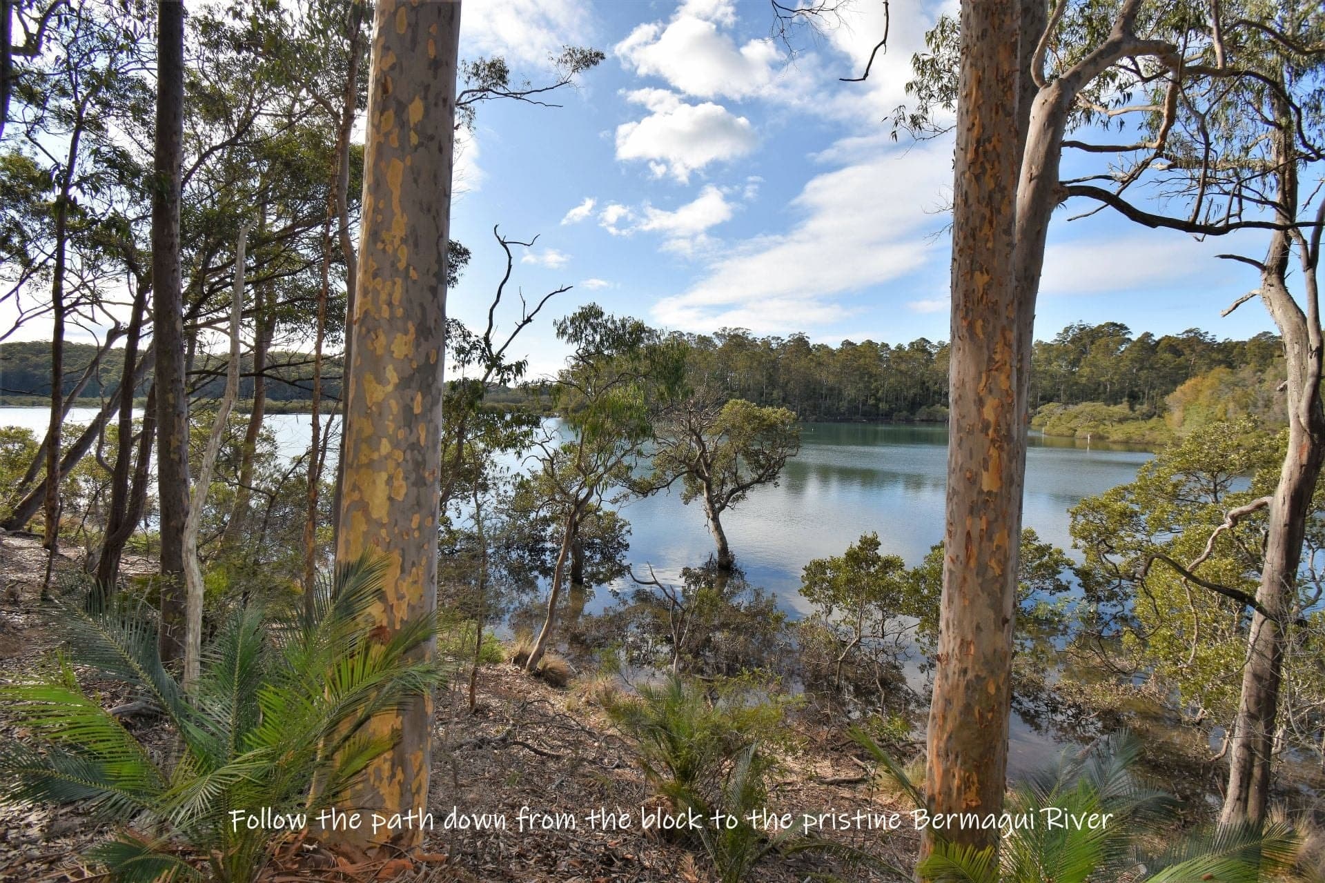 3 Black Marlin Drive Bermagui NSW, Bermagui - Thumbnail 8