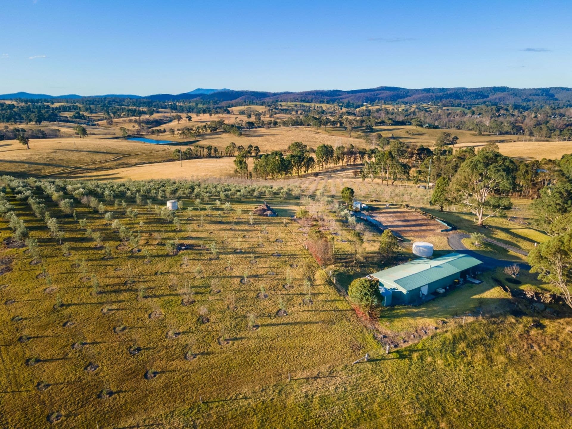 158 Verona Road Verona NSW, Verona - Image 1