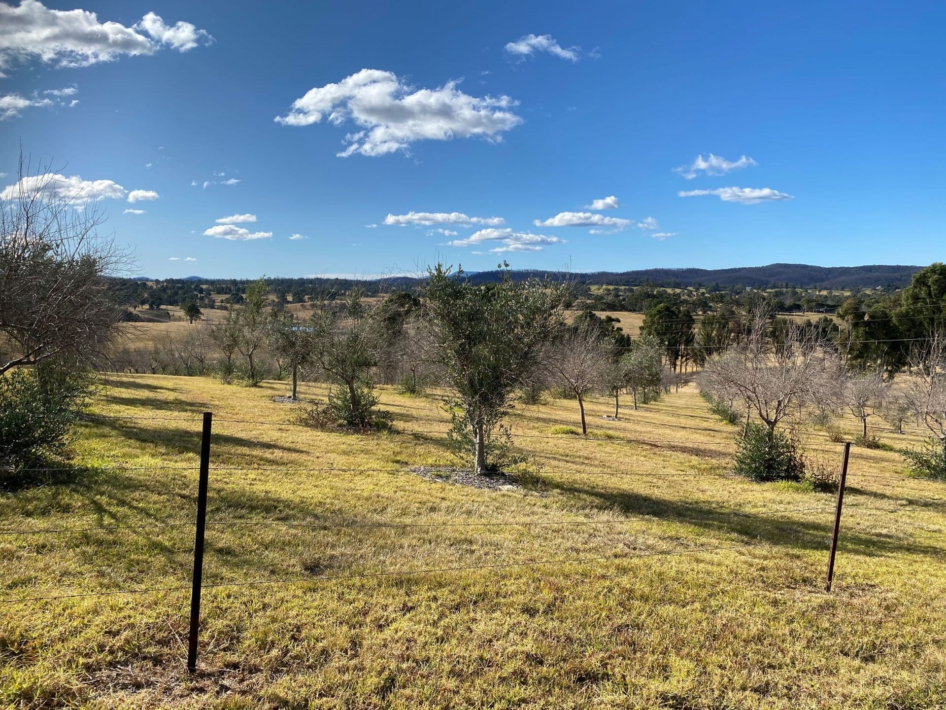 158 Verona Road Verona NSW, Verona - Thumbnail 2