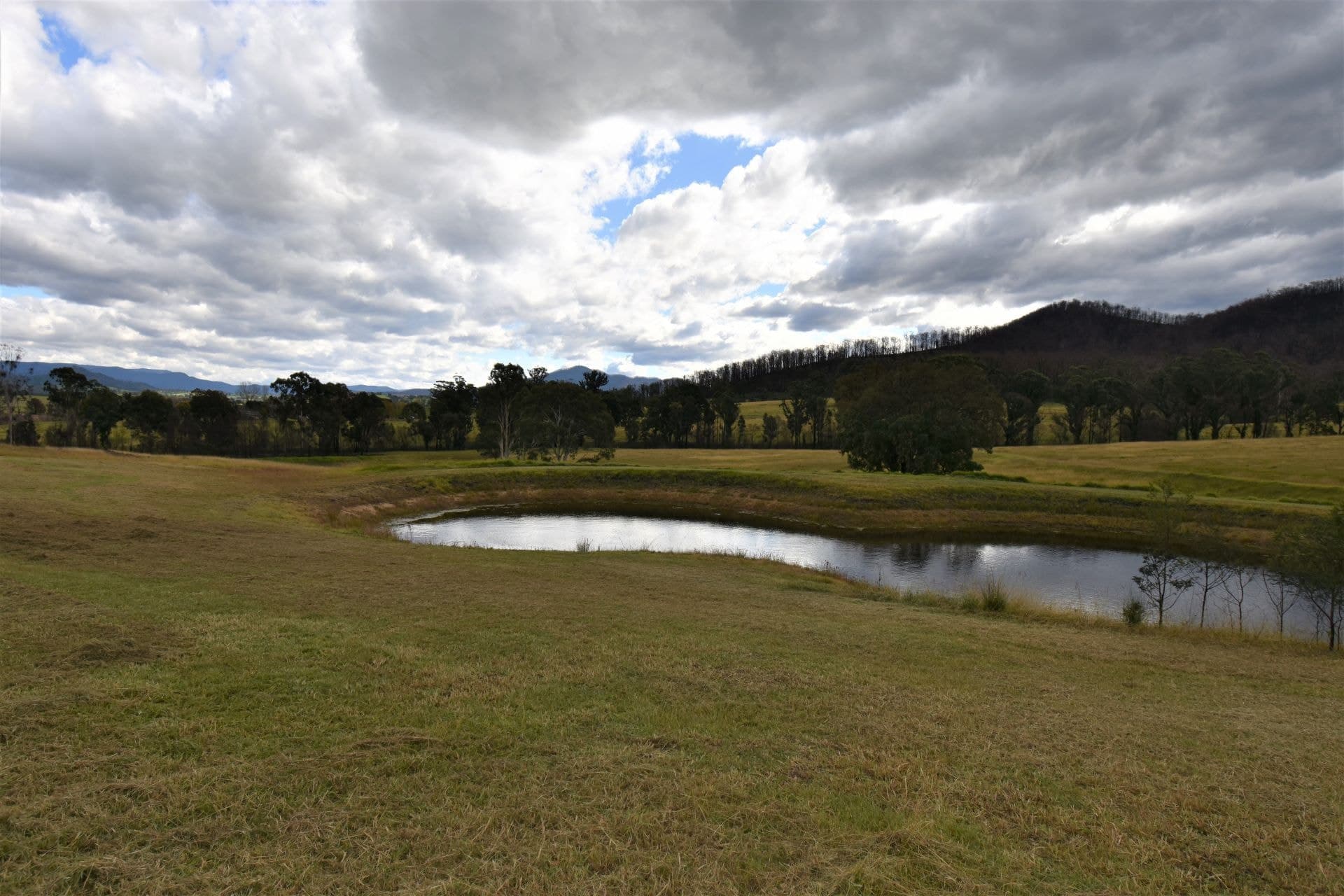 13 Blackbutt Drive Cobargo NSW, Cobargo - Thumbnail 4