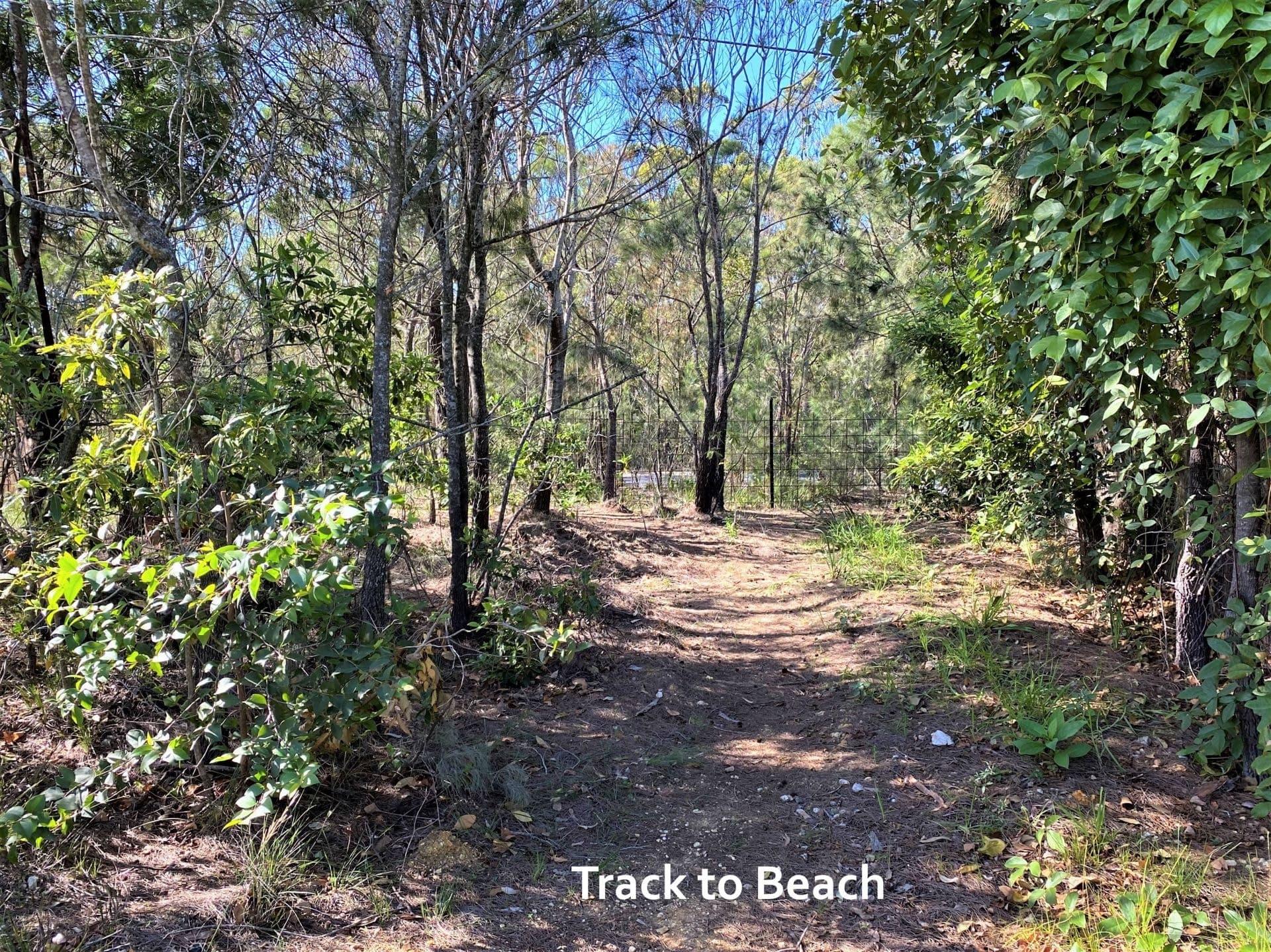 174 Wallaga Lake Road Wallaga Lake NSW, Wallaga Lake - Image 1
