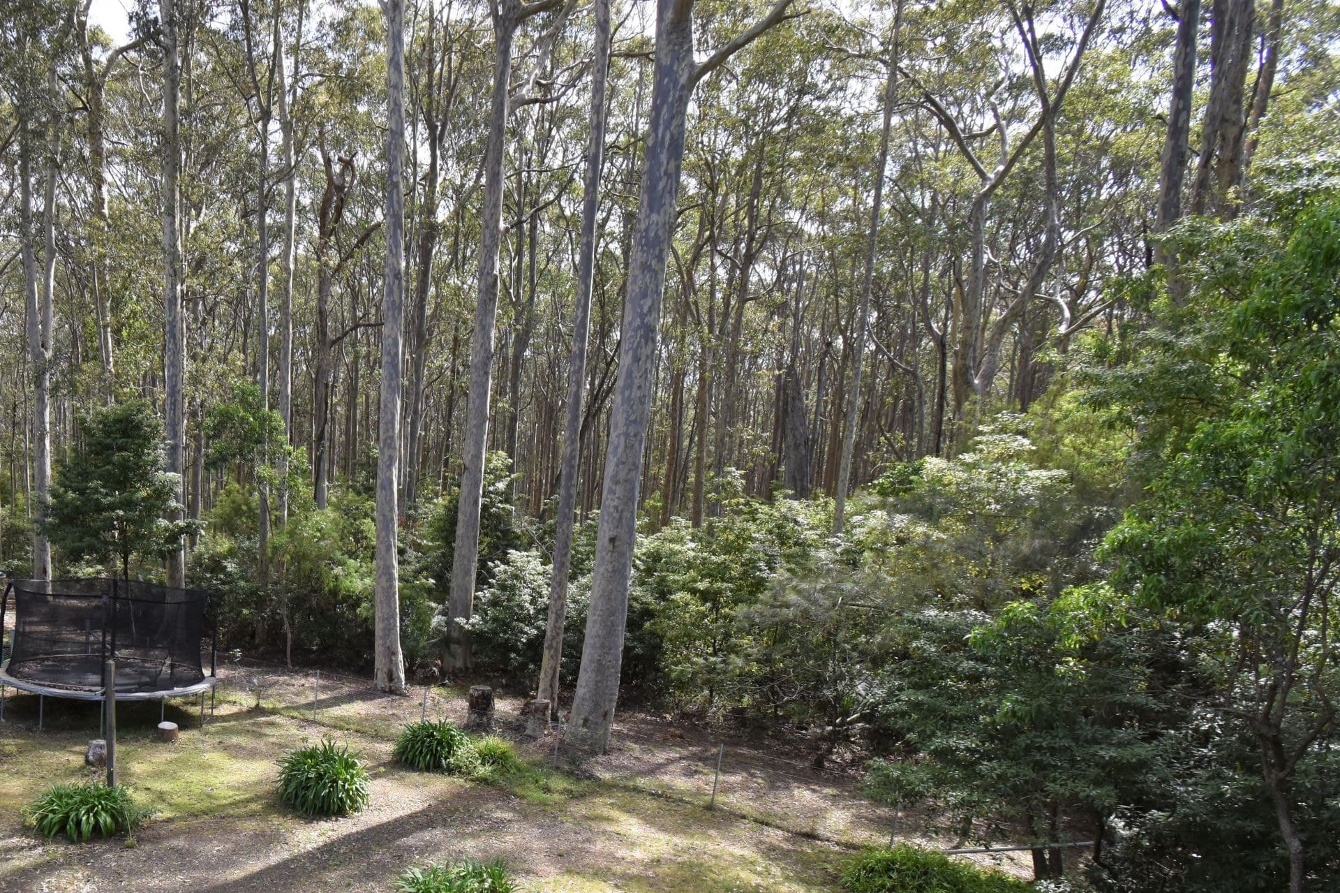 8 Johnston Way Mystery Bay NSW, Mystery Bay - Thumbnail 4