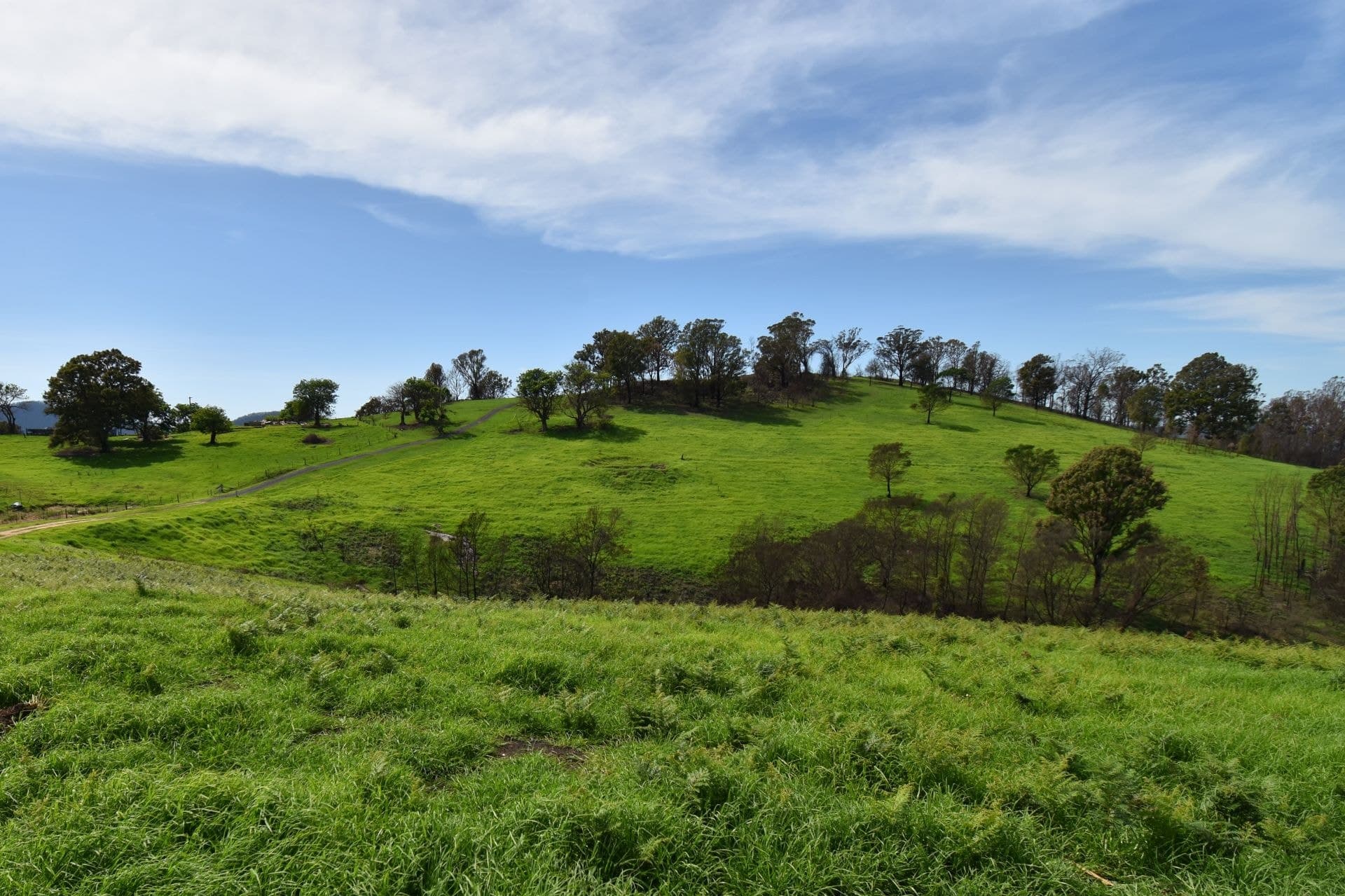 43 County Boundary Road COBARGO NSW, Cobargo - Thumbnail 4