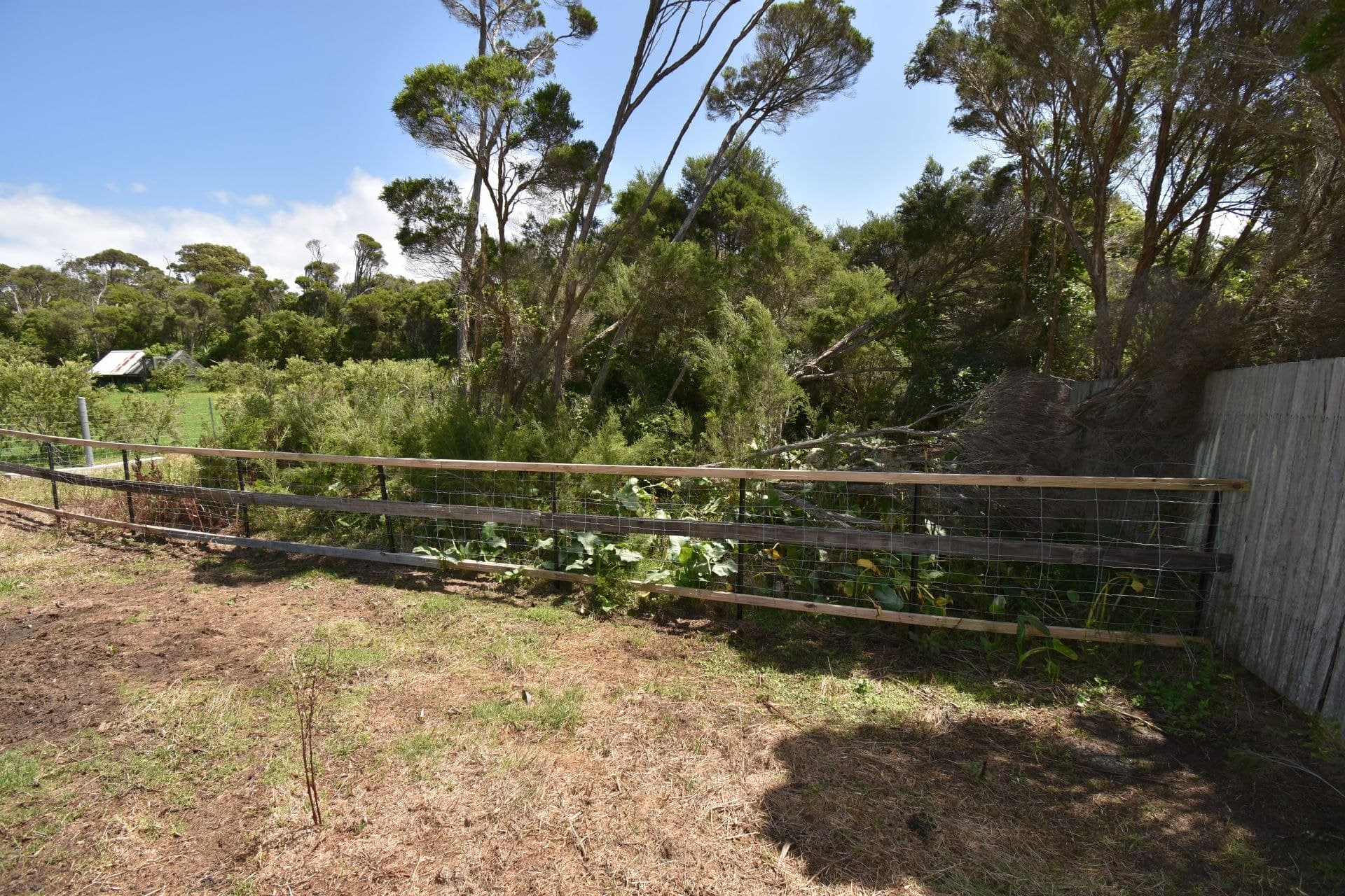 32 Bunga Street Bermagui NSW, Bermagui - Thumbnail 6
