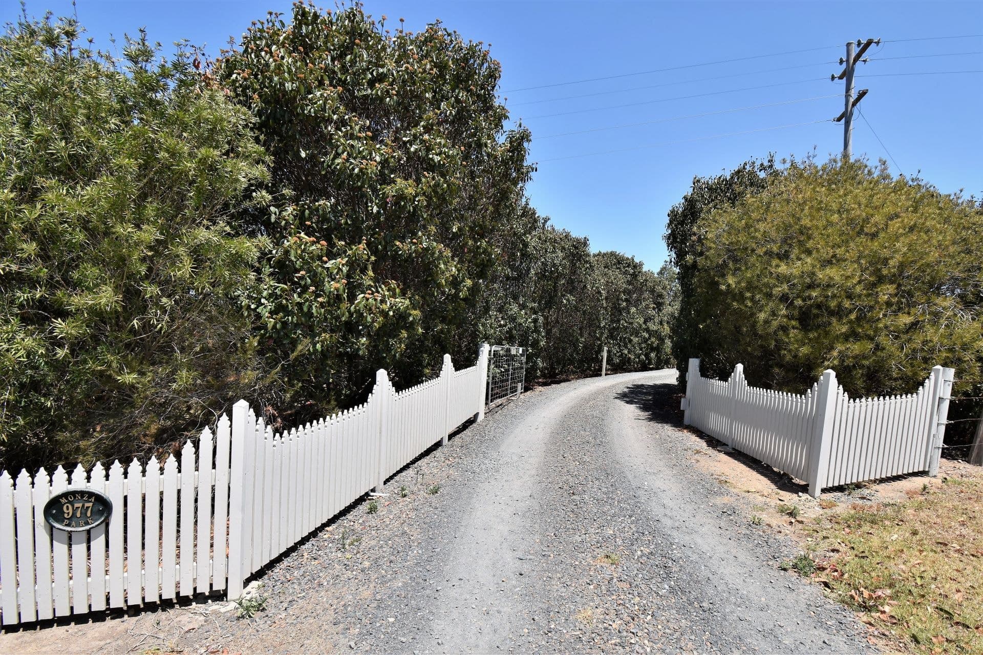 977 Cobargo Bermagui Road Cobargo NSW, Cobargo - Image 1