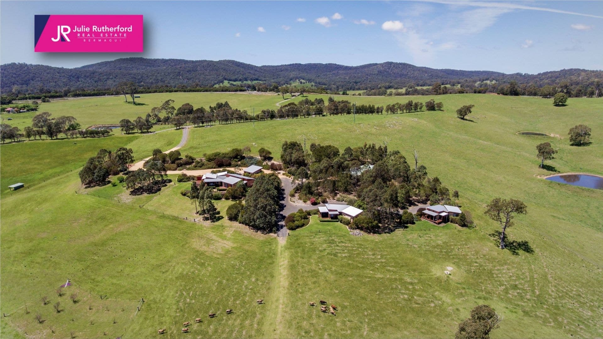 10972 Princes Highway Cobargo NSW, Cobargo - Thumbnail 5