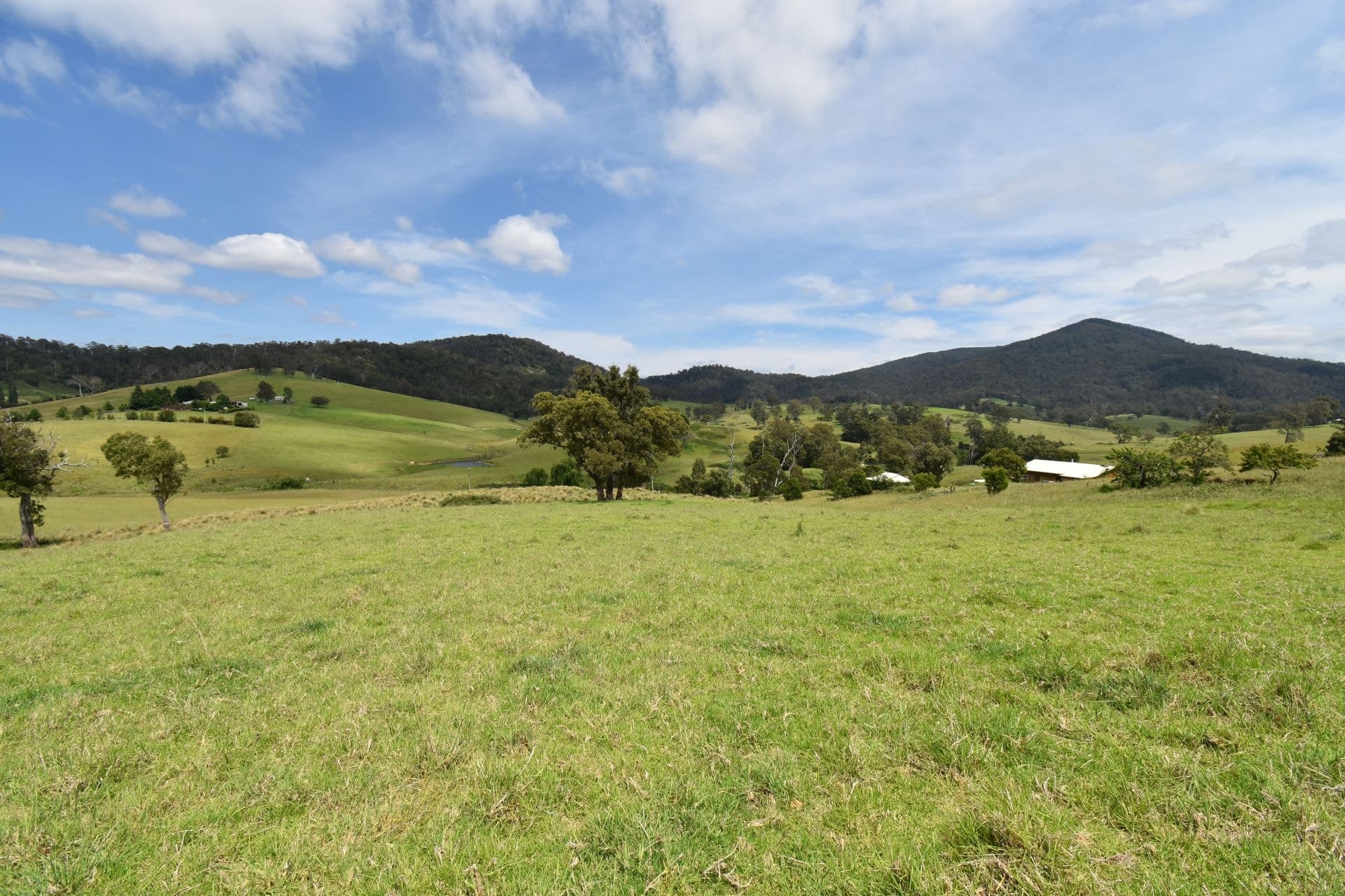 337 Gilberts Road Verona NSW, Verona - Thumbnail 4