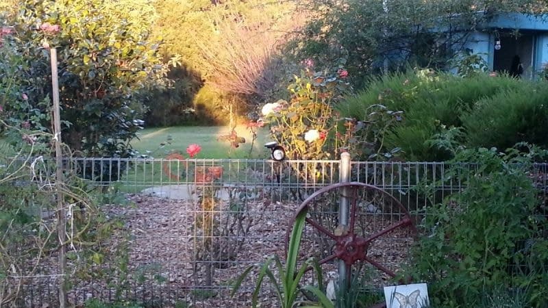 1358 Tarraganda Lane Bega NSW, Bega - Thumbnail 2