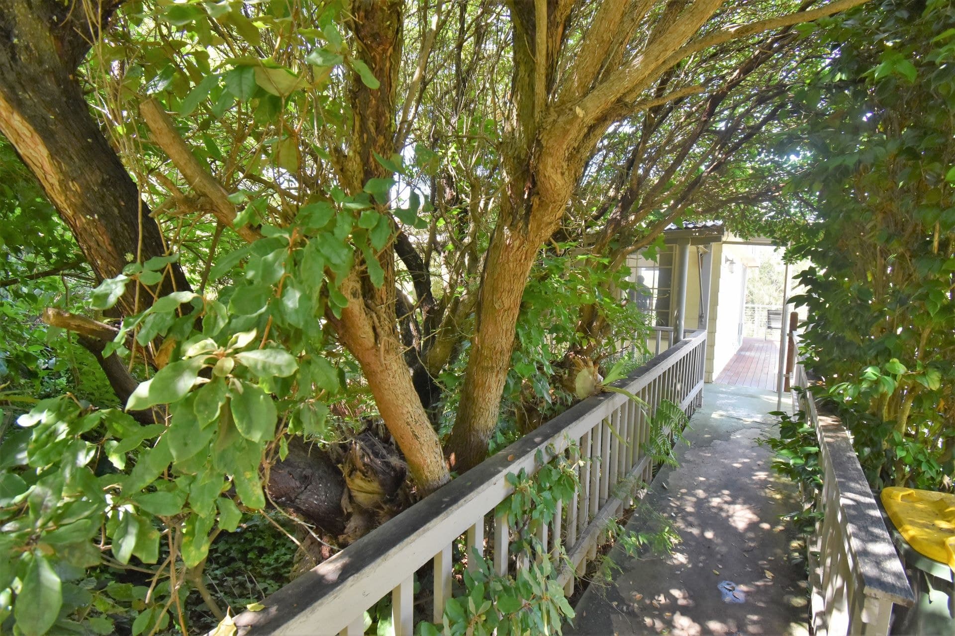 12 Turner Drive Akolele NSW, Akolele - Thumbnail 2