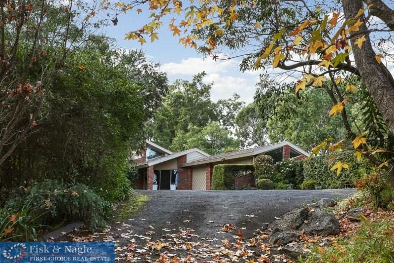 169 Black Range Road Bega NSW, Bega - Thumbnail 3