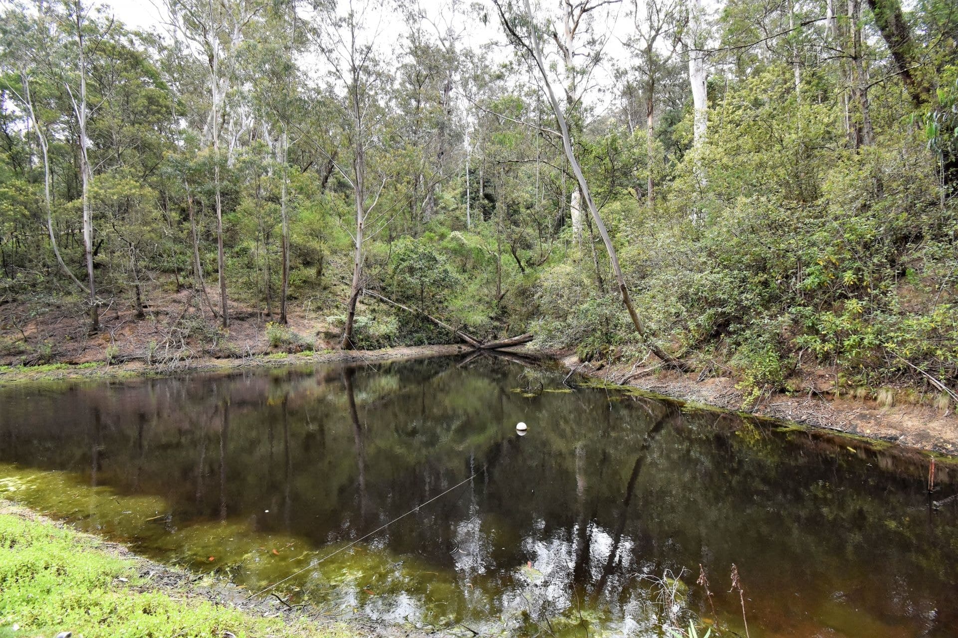 213 Murrabrine Forest Road Yowrie NSW, Yowrie - Image 1