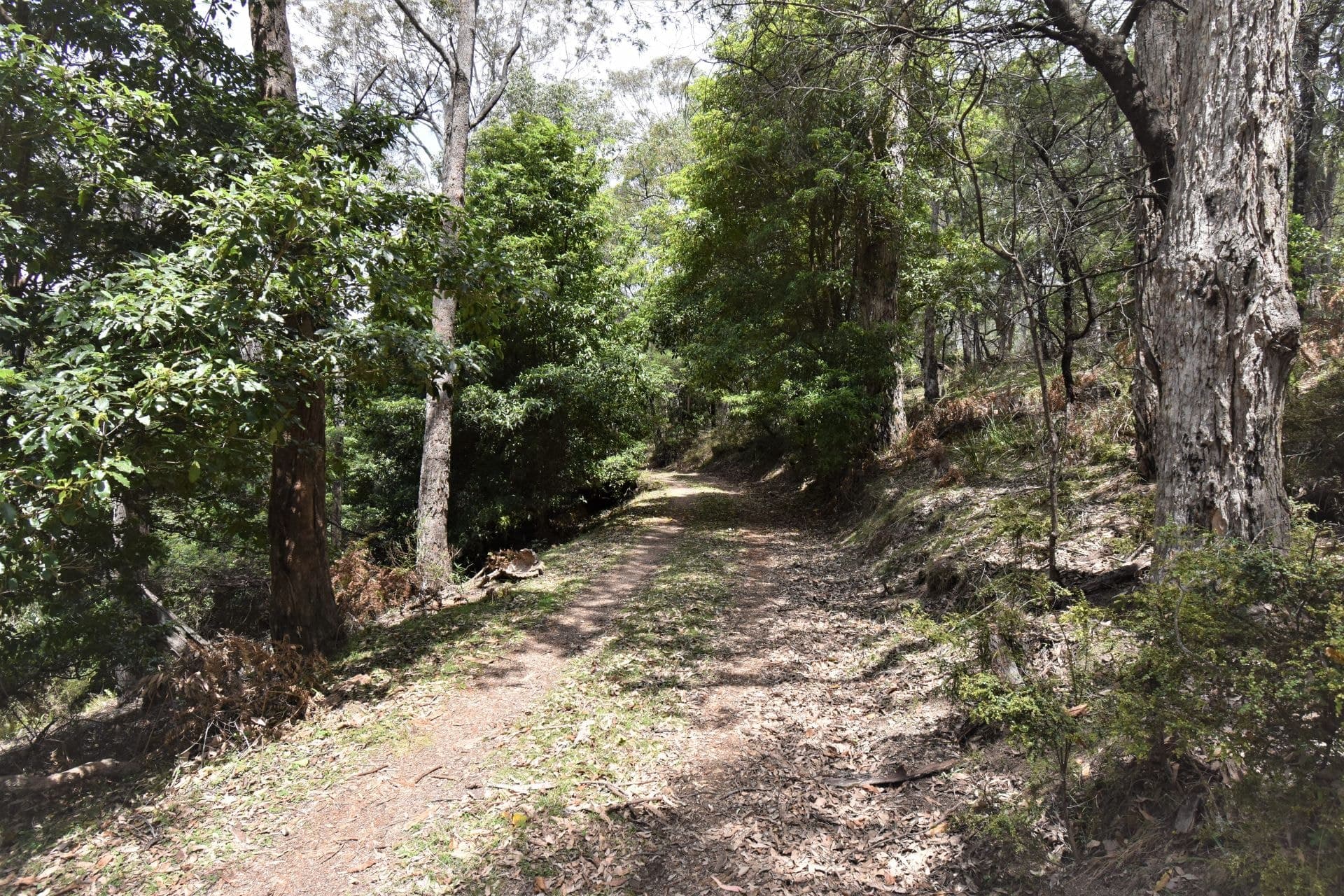 213 Murrabrine Forest Road Yowrie NSW, Yowrie - Thumbnail 2