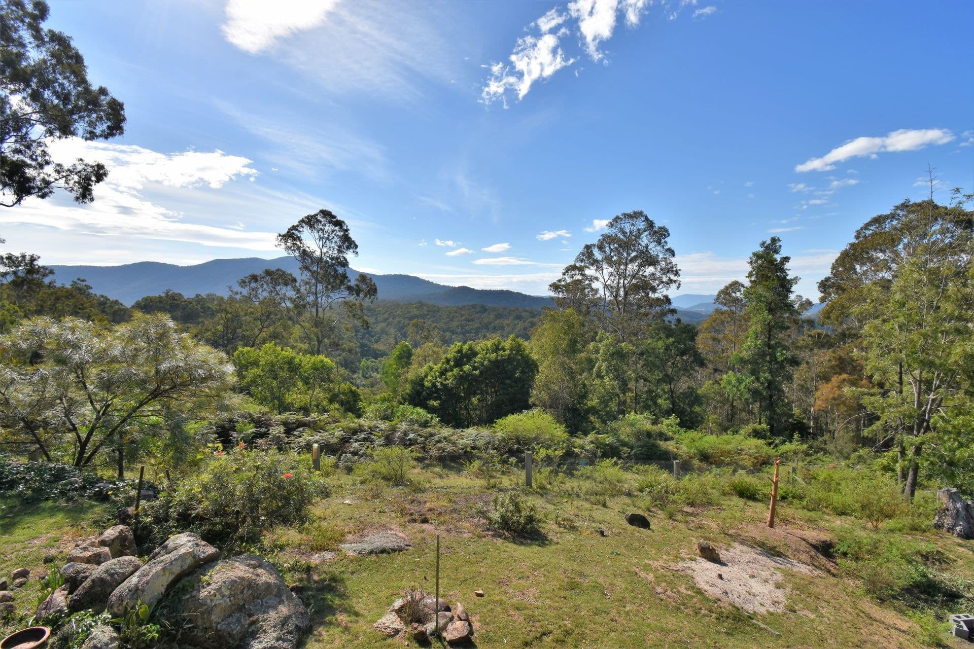 213 Murrabrine Forest Road Yowrie NSW, Yowrie - Thumbnail 5