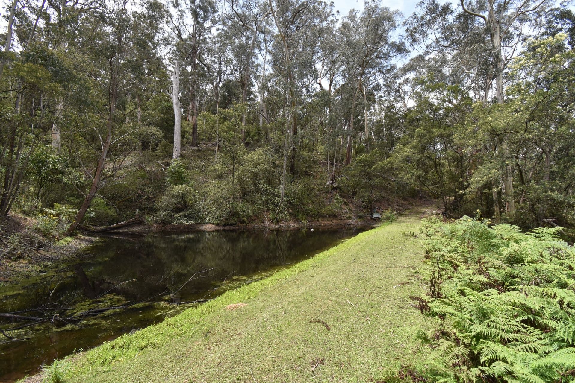 213 Murrabrine Forest Road Yowrie NSW, Yowrie - Thumbnail 6