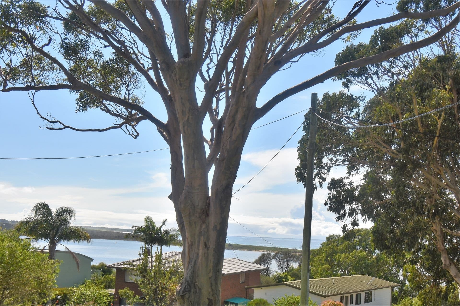 24 Lakeview Drive Wallaga Lake NSW, Wallaga Lake - Thumbnail 4