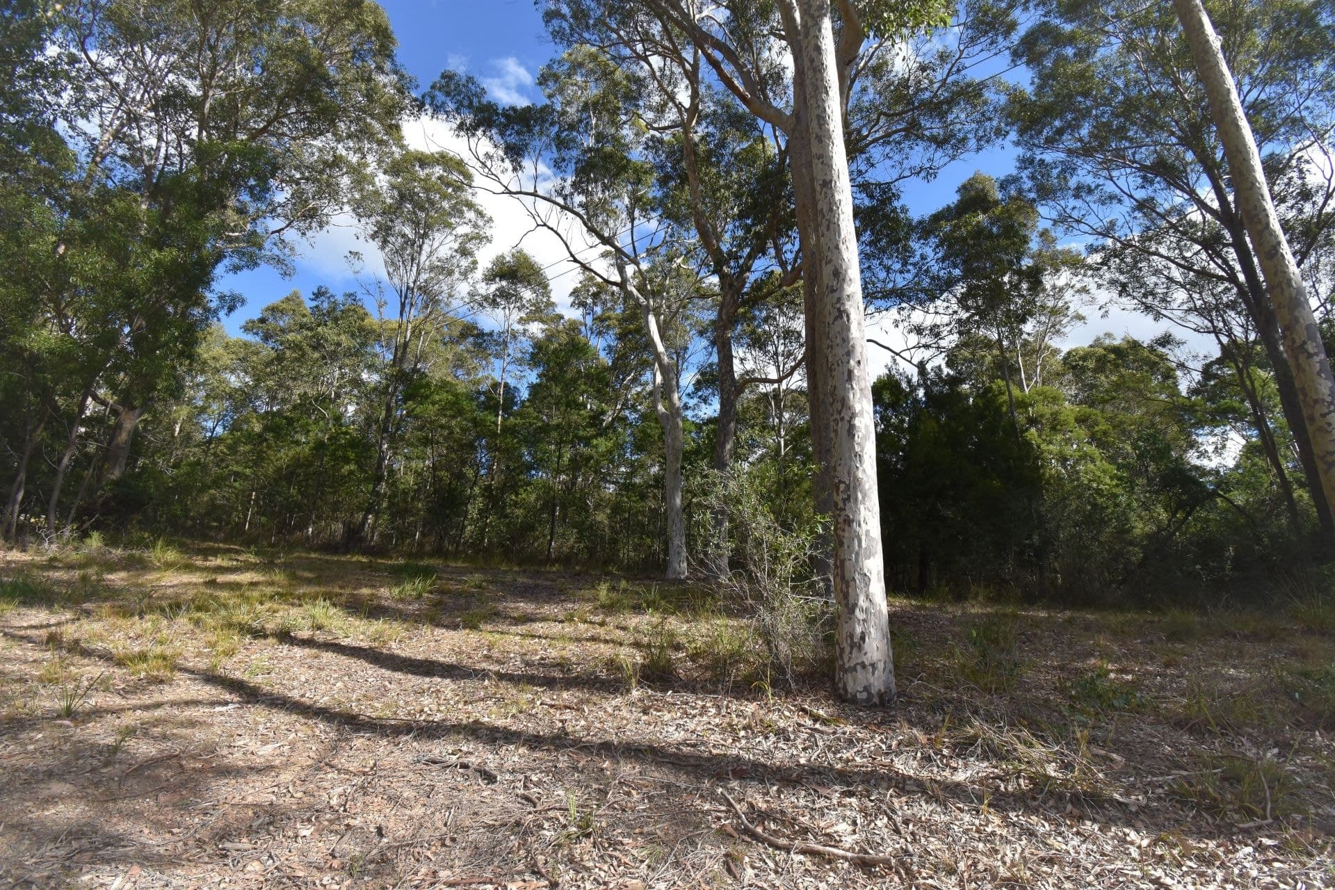 3 Black Marlin Drive Bermagui NSW, Bermagui - Image 1