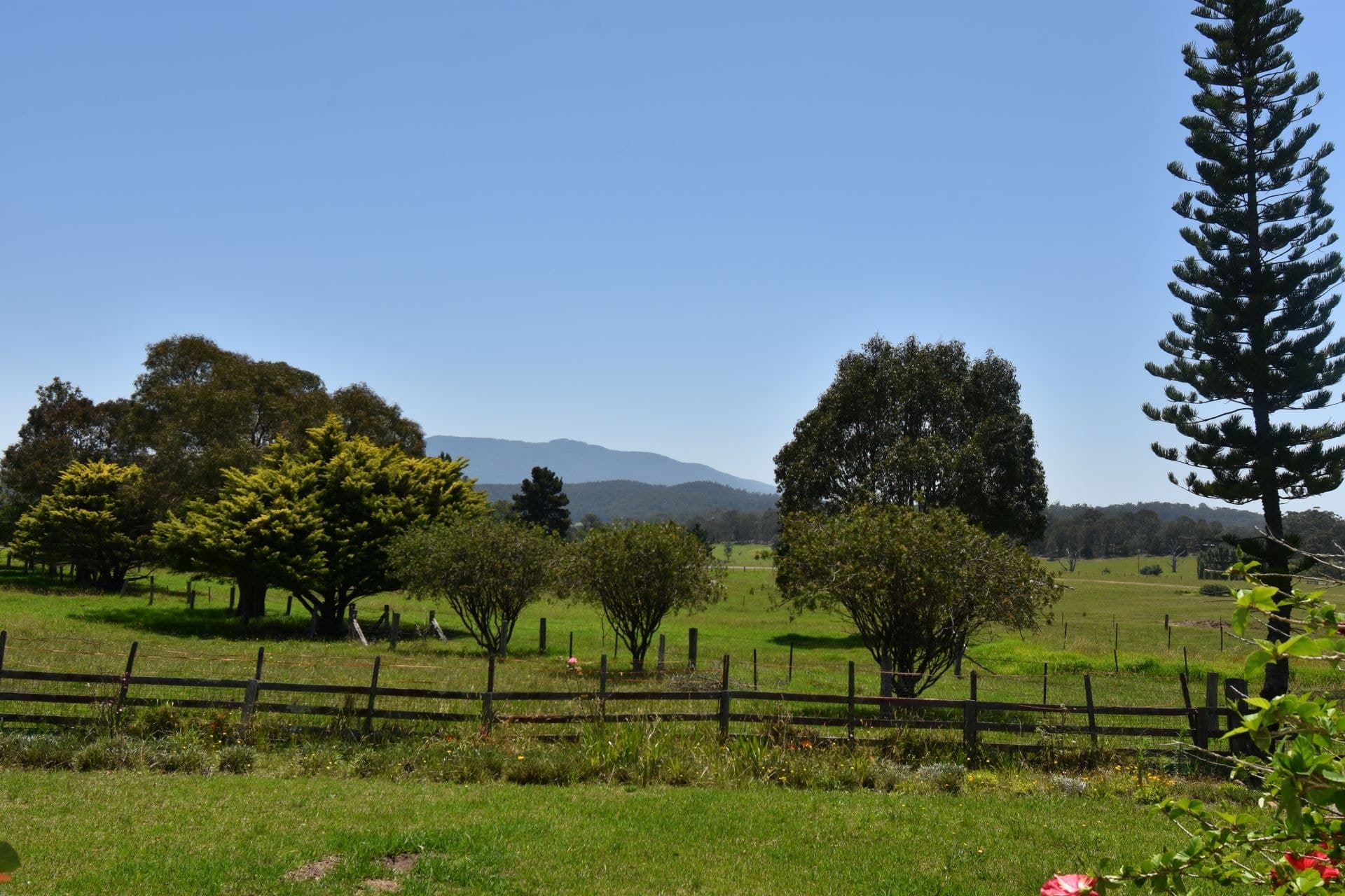 915 Cobargo Bermagui Road Coolagolite NSW, Coolagolite - Image 1