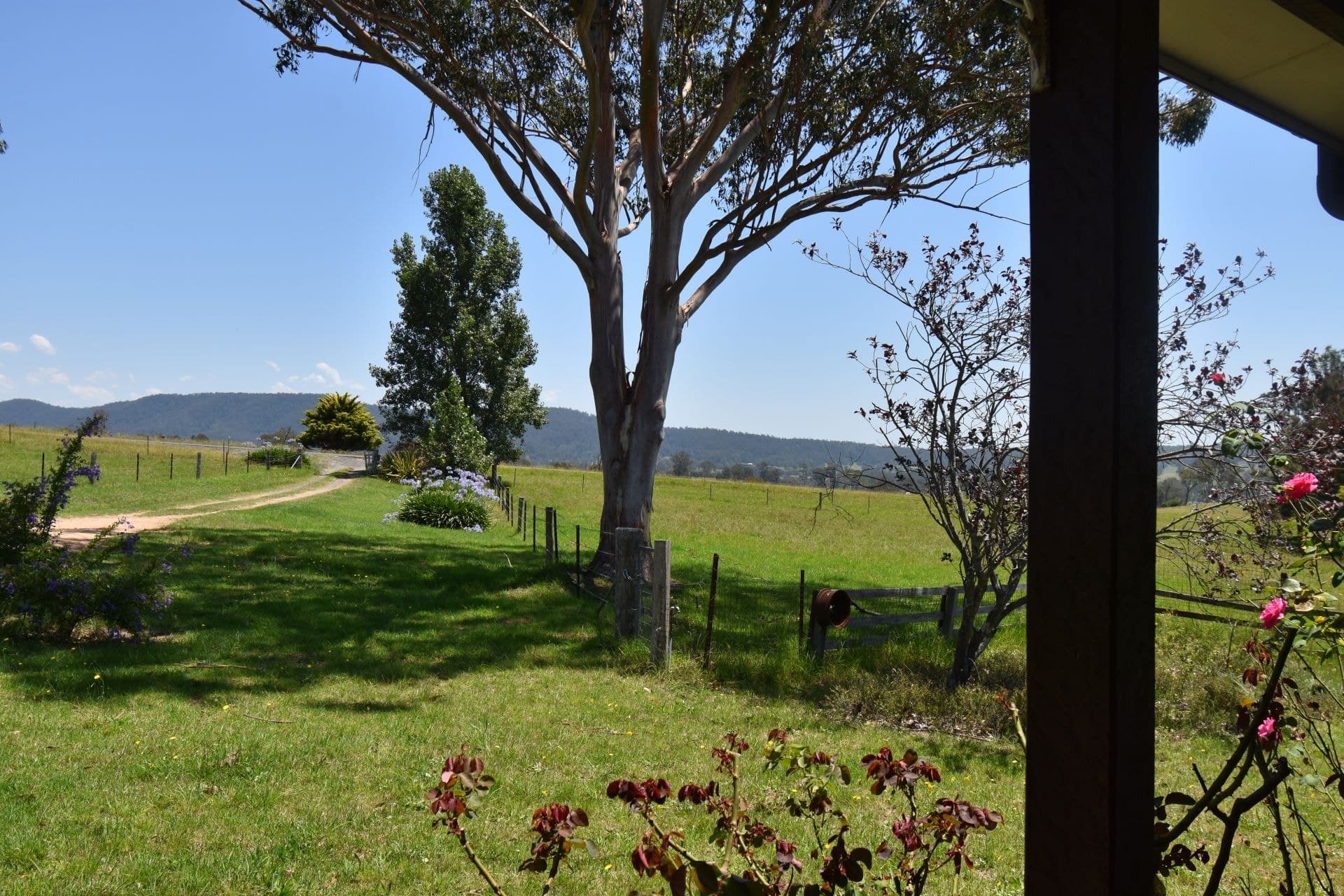 915 Cobargo Bermagui Road Coolagolite NSW, Coolagolite - Thumbnail 2