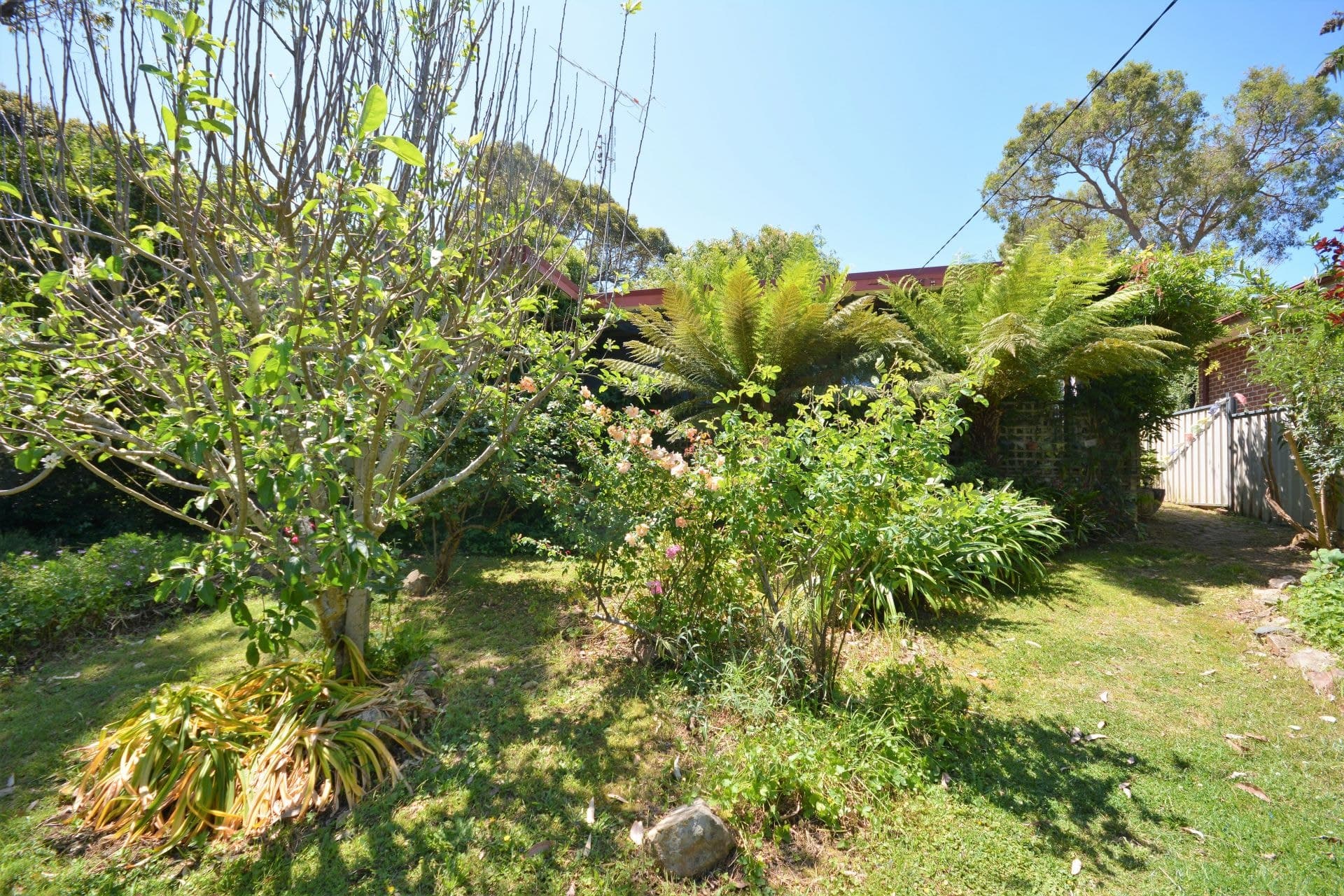 56 O'connells Point Road Wallaga Lake NSW, Wallaga Lake - Thumbnail 2