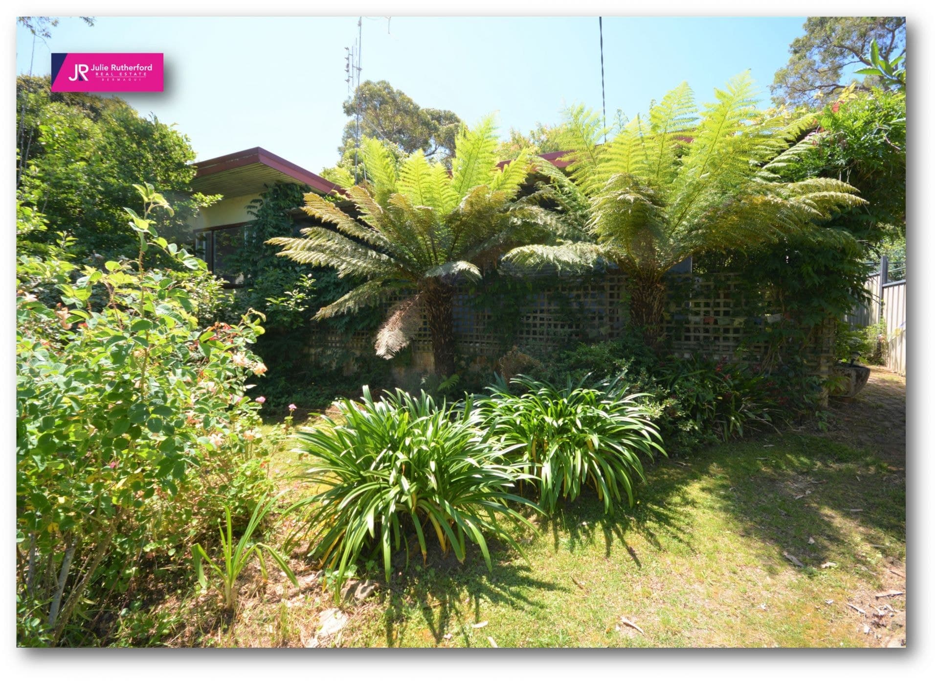 56 O'connells Point Road Wallaga Lake NSW, Wallaga Lake - Thumbnail 5
