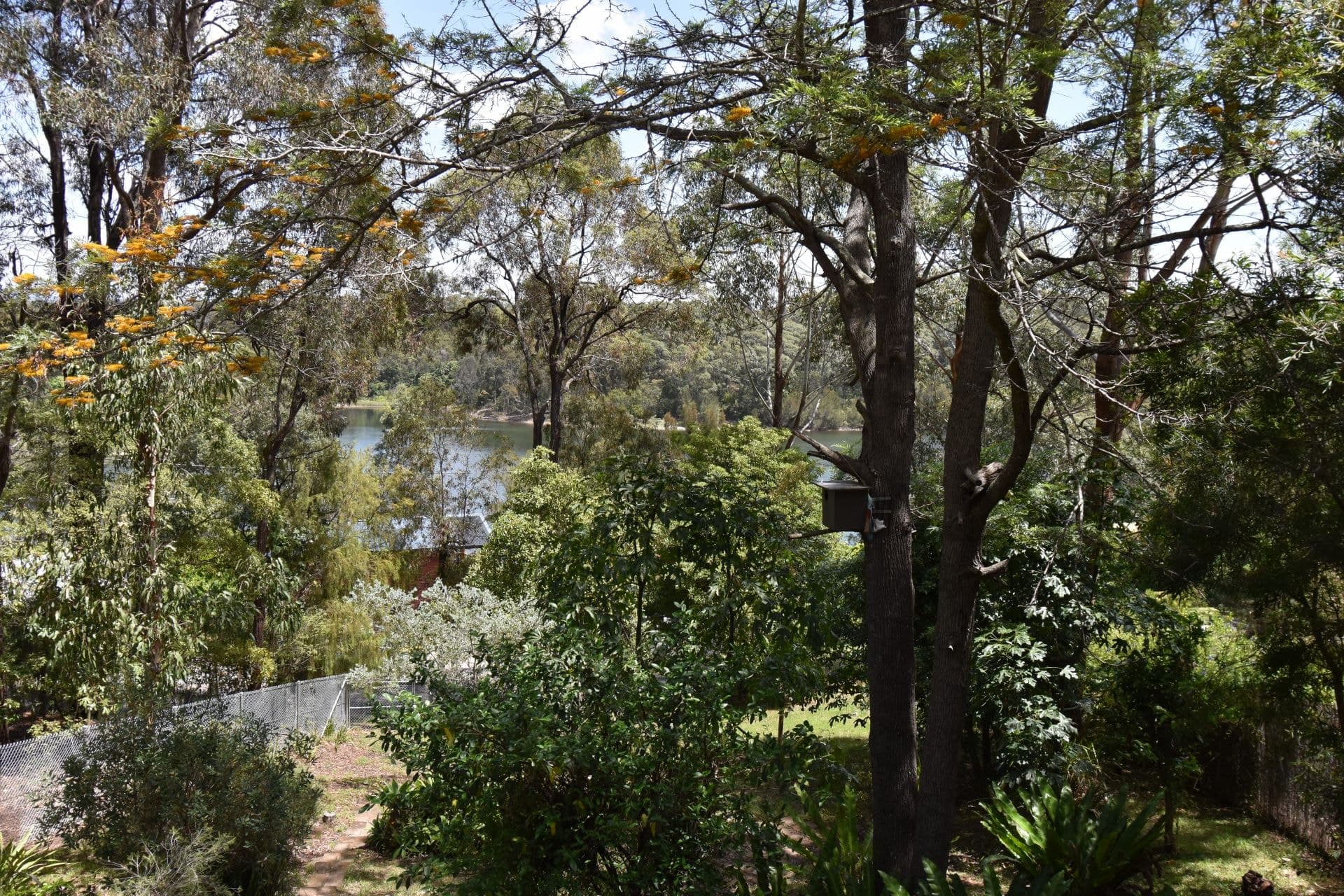 312 Bermagui Road Akolele NSW, Akolele - Thumbnail 2