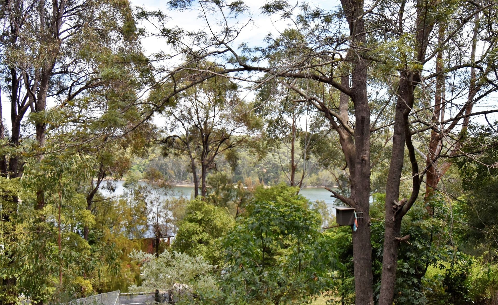 312 Bermagui Road Akolele NSW, Akolele - Thumbnail 4