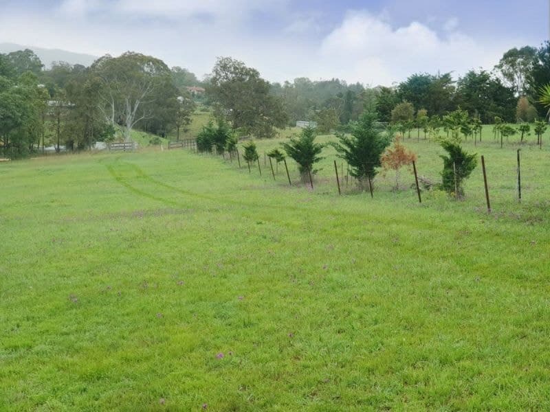 7 Broad Street Bemboka NSW, Bemboka - Thumbnail 5