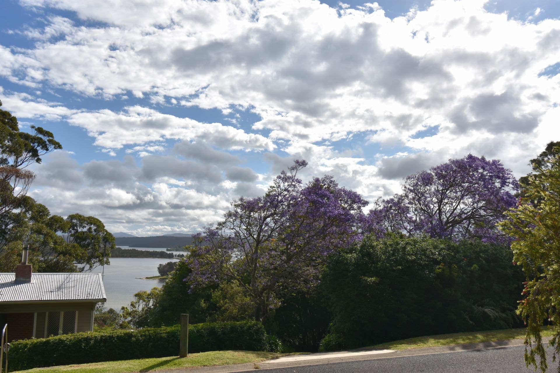12 Flower Circuit Akolele NSW, Akolele - Thumbnail 4