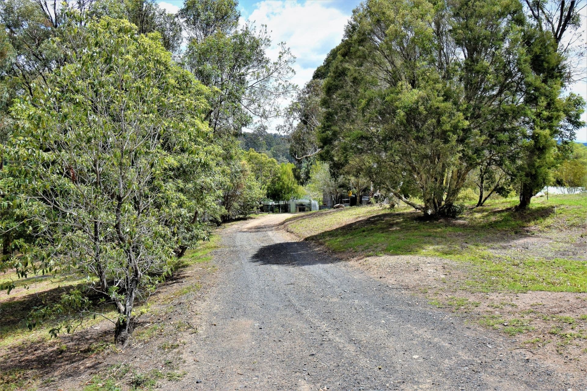 16 Fields Road Tanja NSW, Tanja - Thumbnail 2