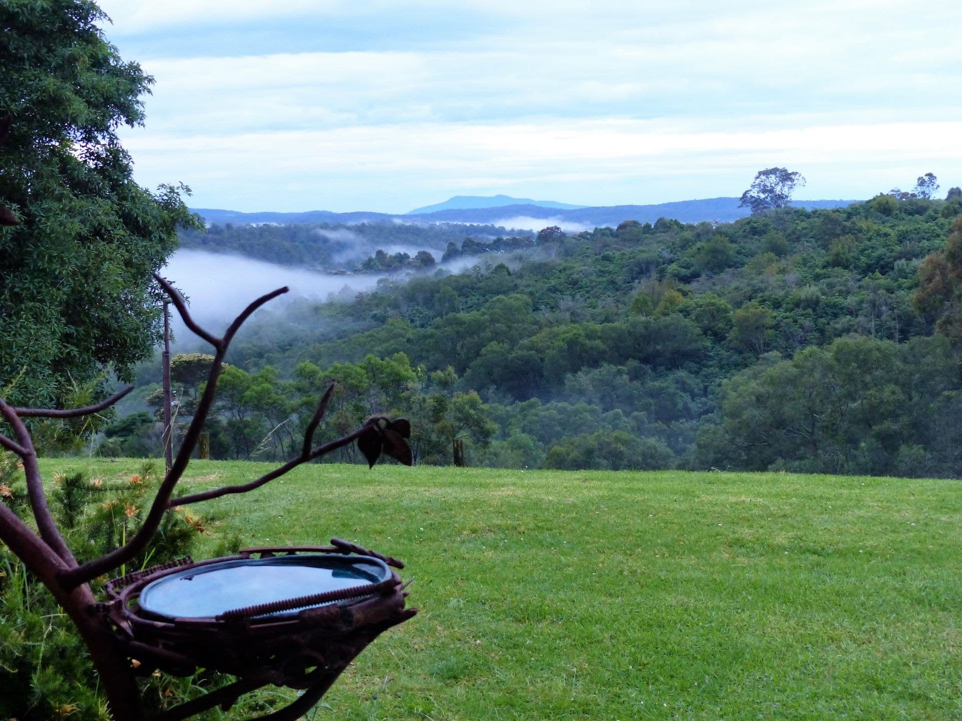 16 Fields Road Tanja NSW, Tanja - Thumbnail 4