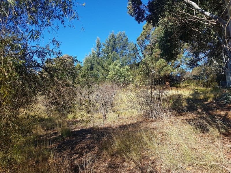 1 Elton Street Candelo NSW, Candelo - Image 1