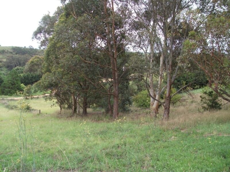 1 Elton Street Candelo NSW, Candelo - Thumbnail 3