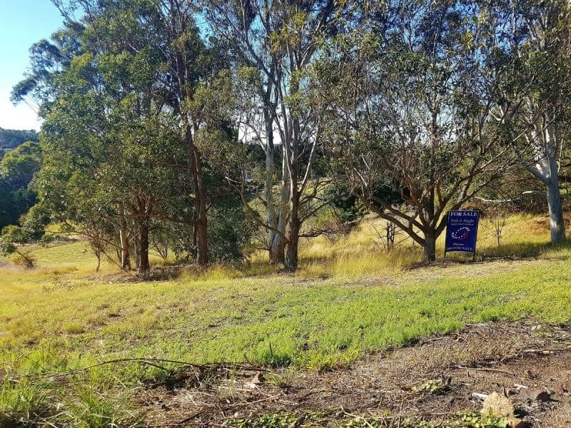 1 Elton Street Candelo NSW, Candelo - Thumbnail 5