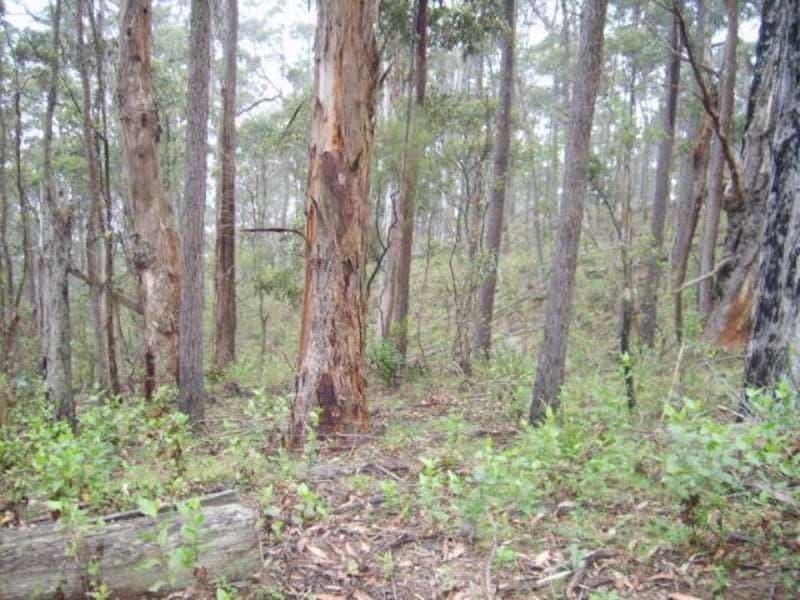 220 Moreings Road Candelo NSW, Candelo - Image 1