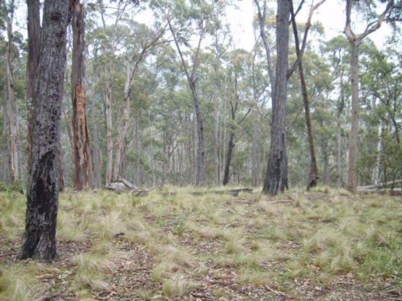 220 Moreings Road Candelo NSW, Candelo - Thumbnail 2