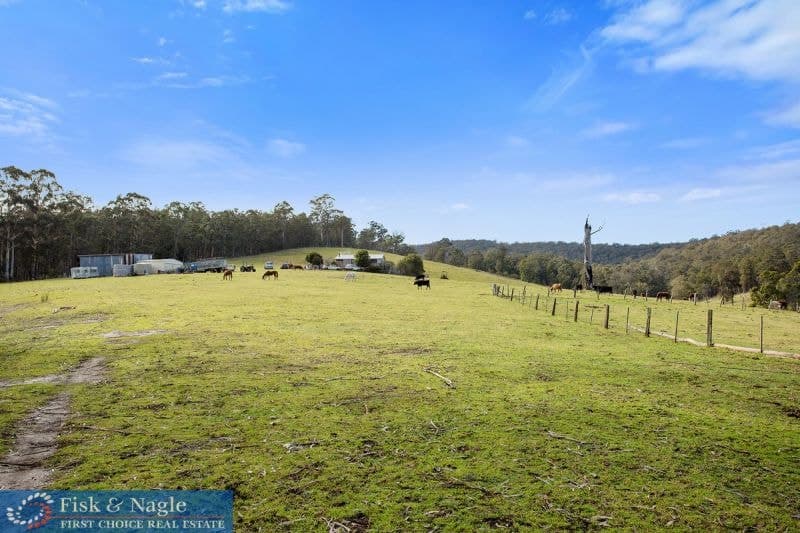 1054 Wallagaraugh Road, Wallagaraugh, Wallagaraugh - Image 1