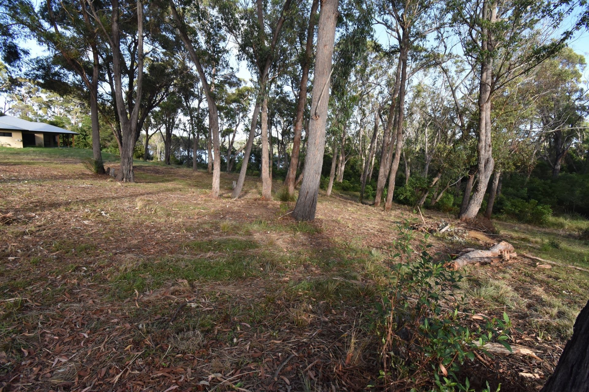 27 Endeavour Drive Wallaga Lake NSW, Wallaga Lake - Image 1