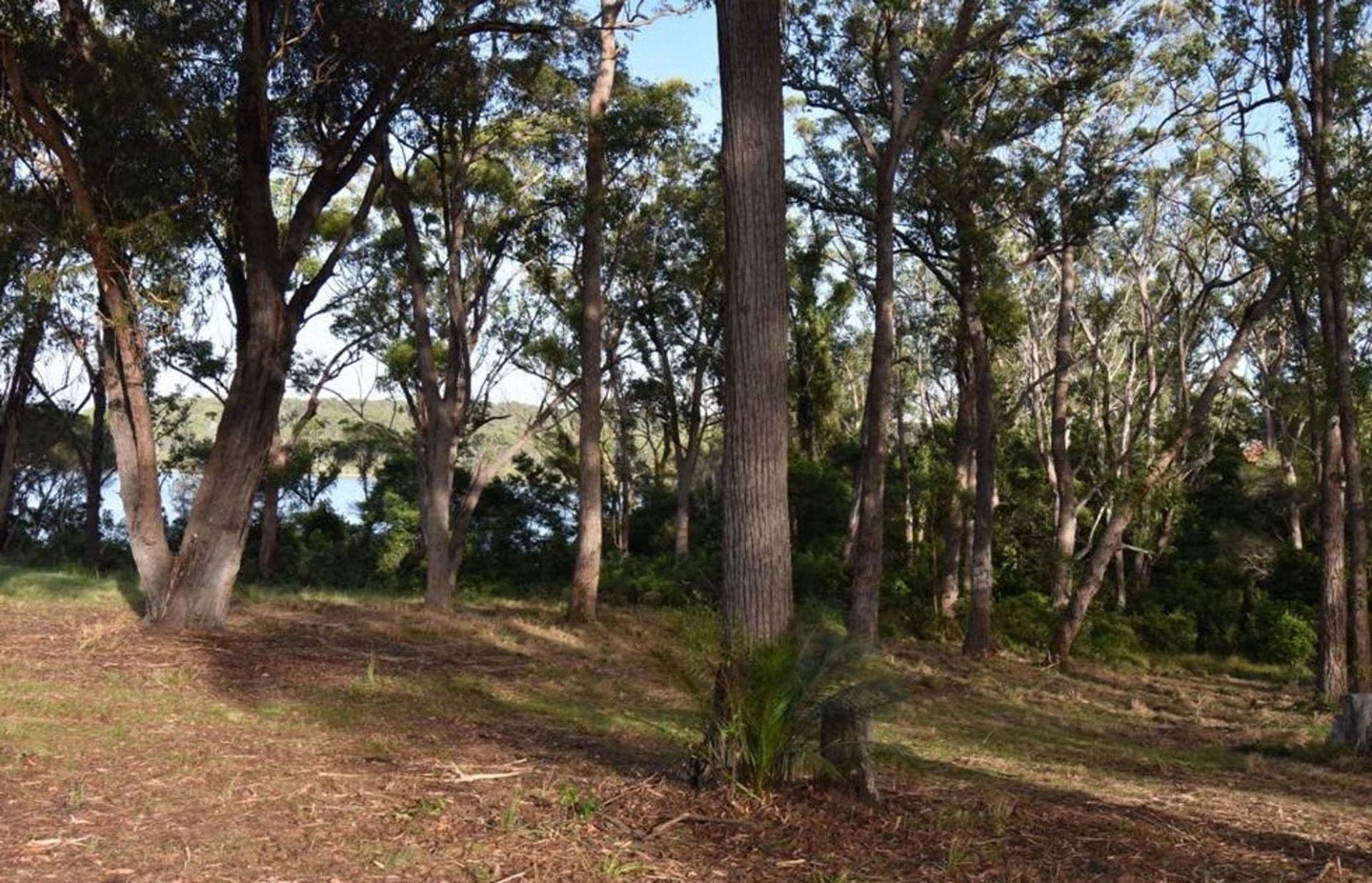 27 Endeavour Drive Wallaga Lake NSW, Wallaga Lake - Thumbnail 3