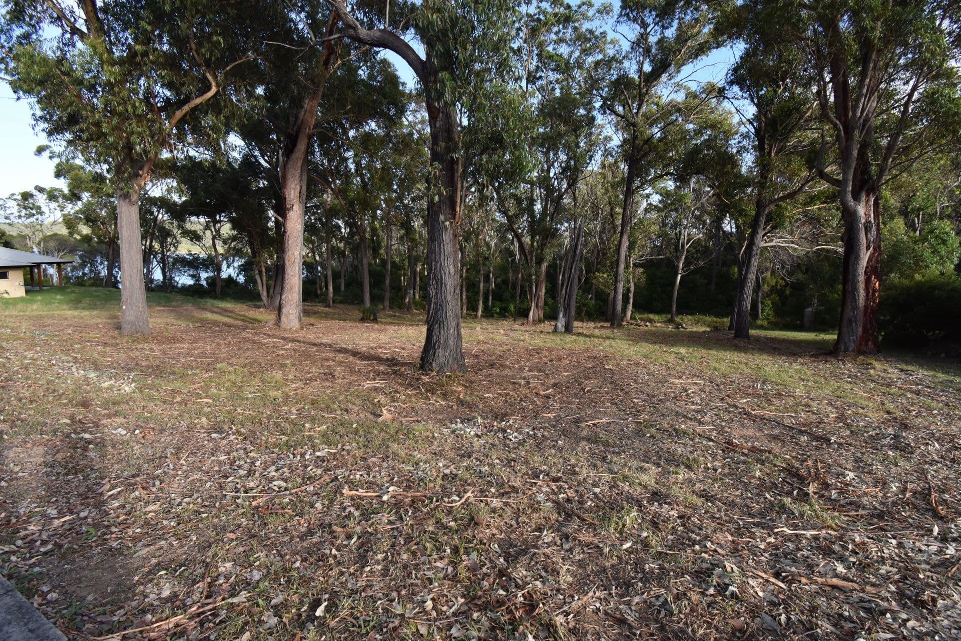 27 Endeavour Drive Wallaga Lake NSW, Wallaga Lake - Thumbnail 5