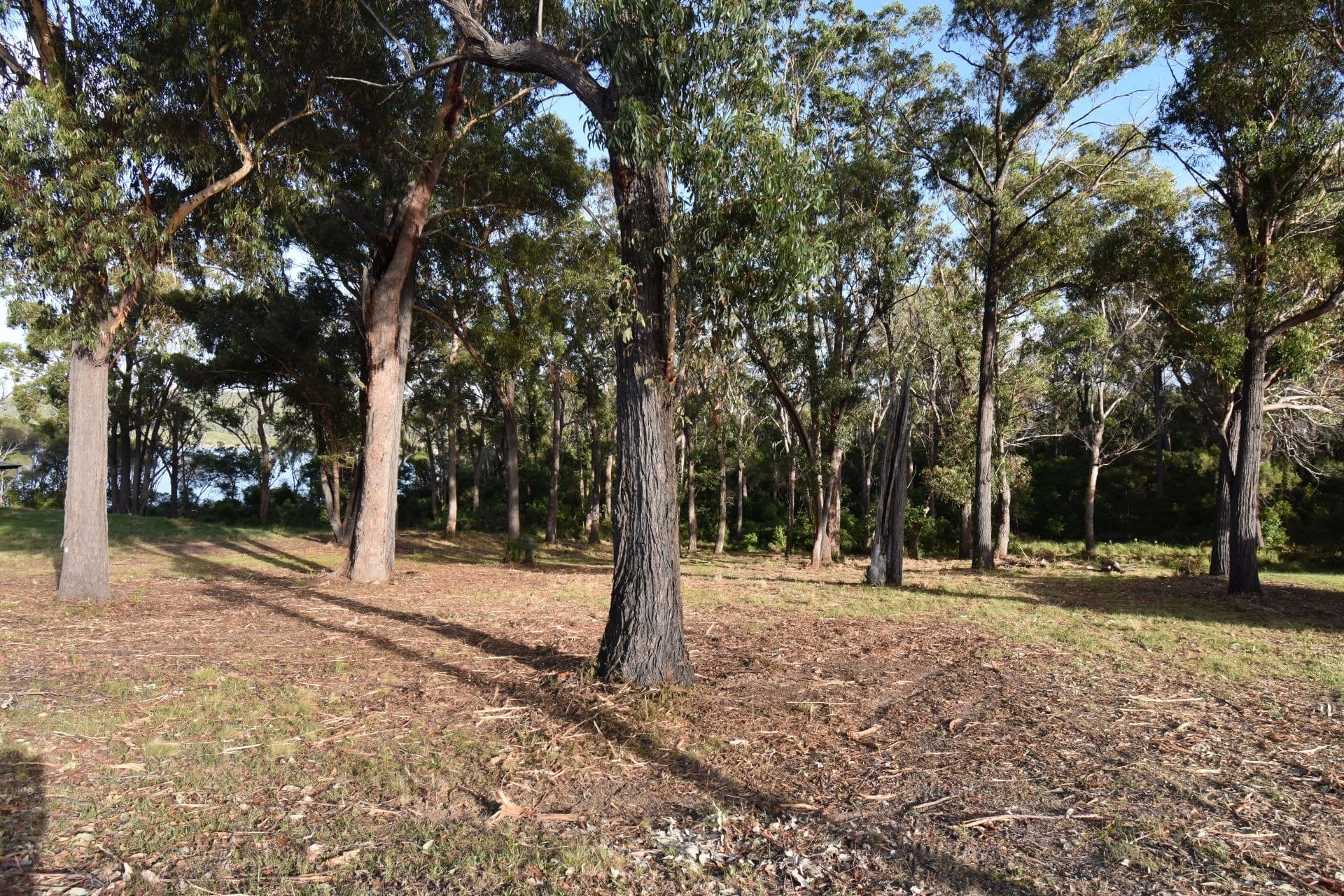 27 Endeavour Drive Wallaga Lake NSW, Wallaga Lake - Thumbnail 6
