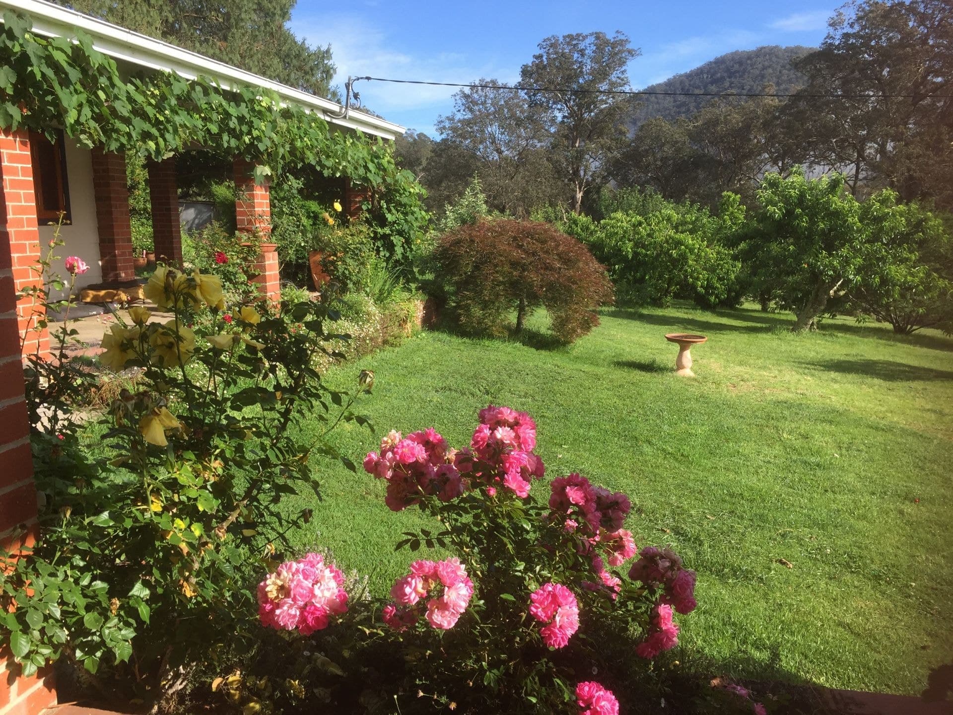 139 Bourkes Road YOWRIE NSW, Yowrie - Thumbnail 5